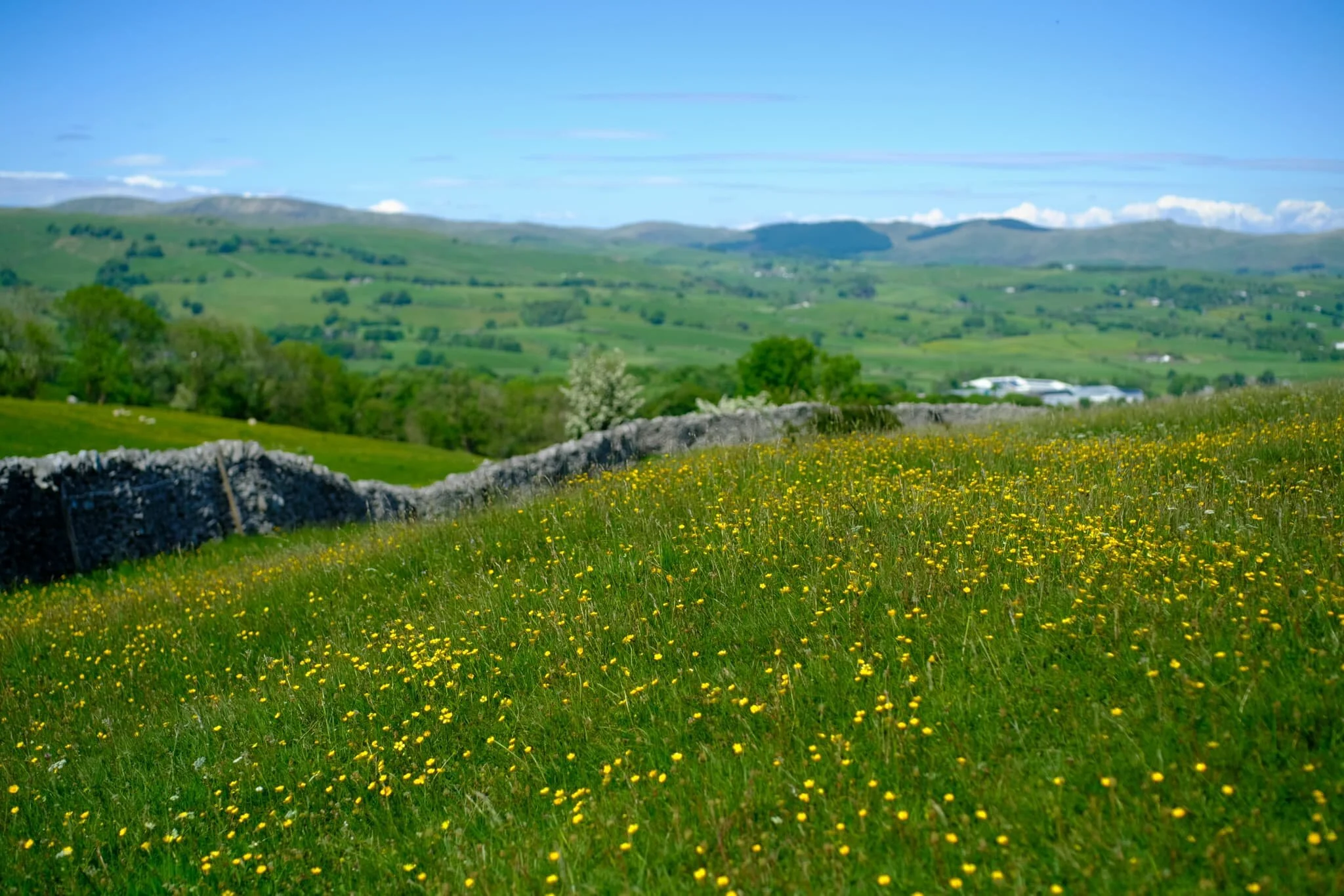 Just one of those perfect English countryside summer days.