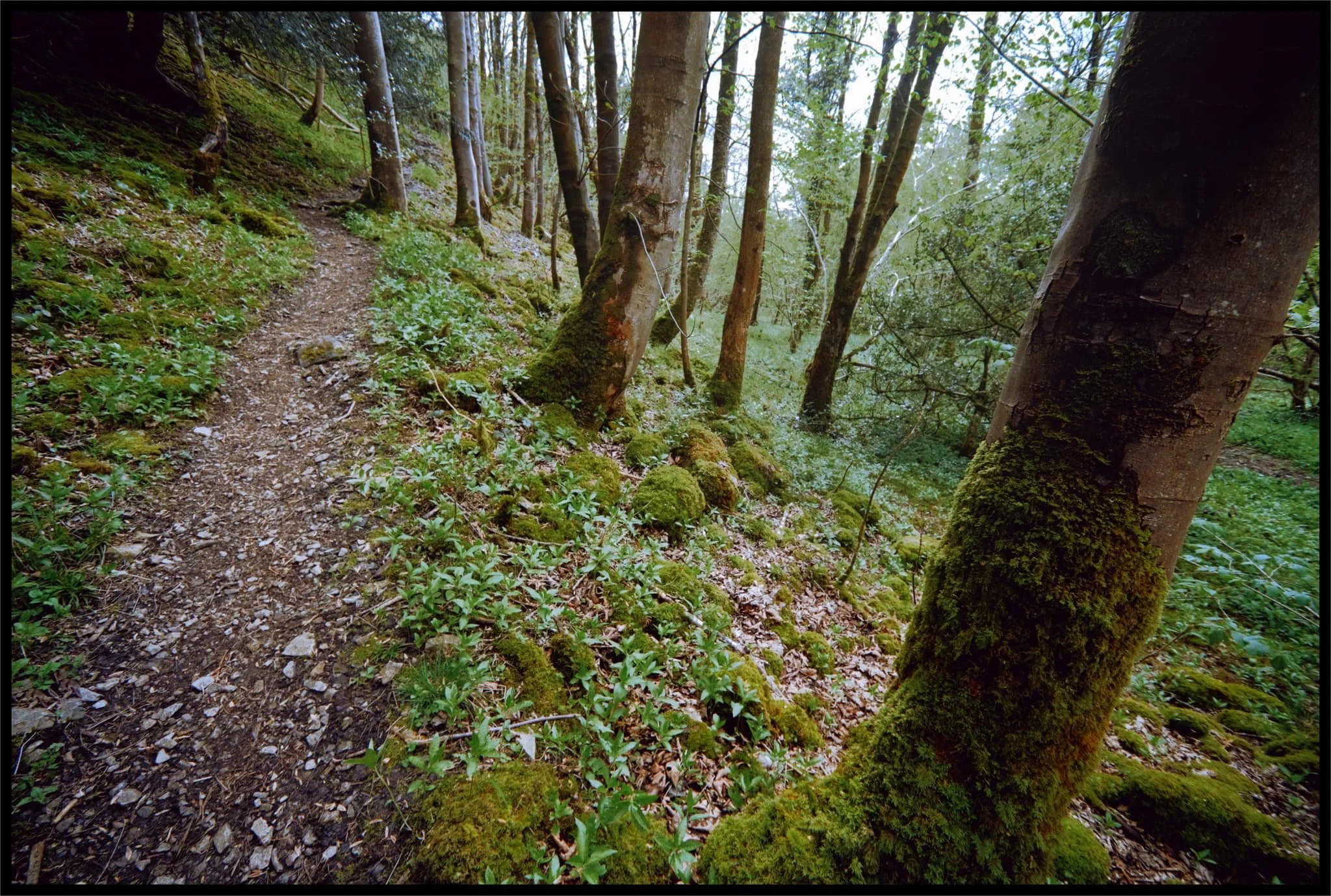  Onwards and upwards. 