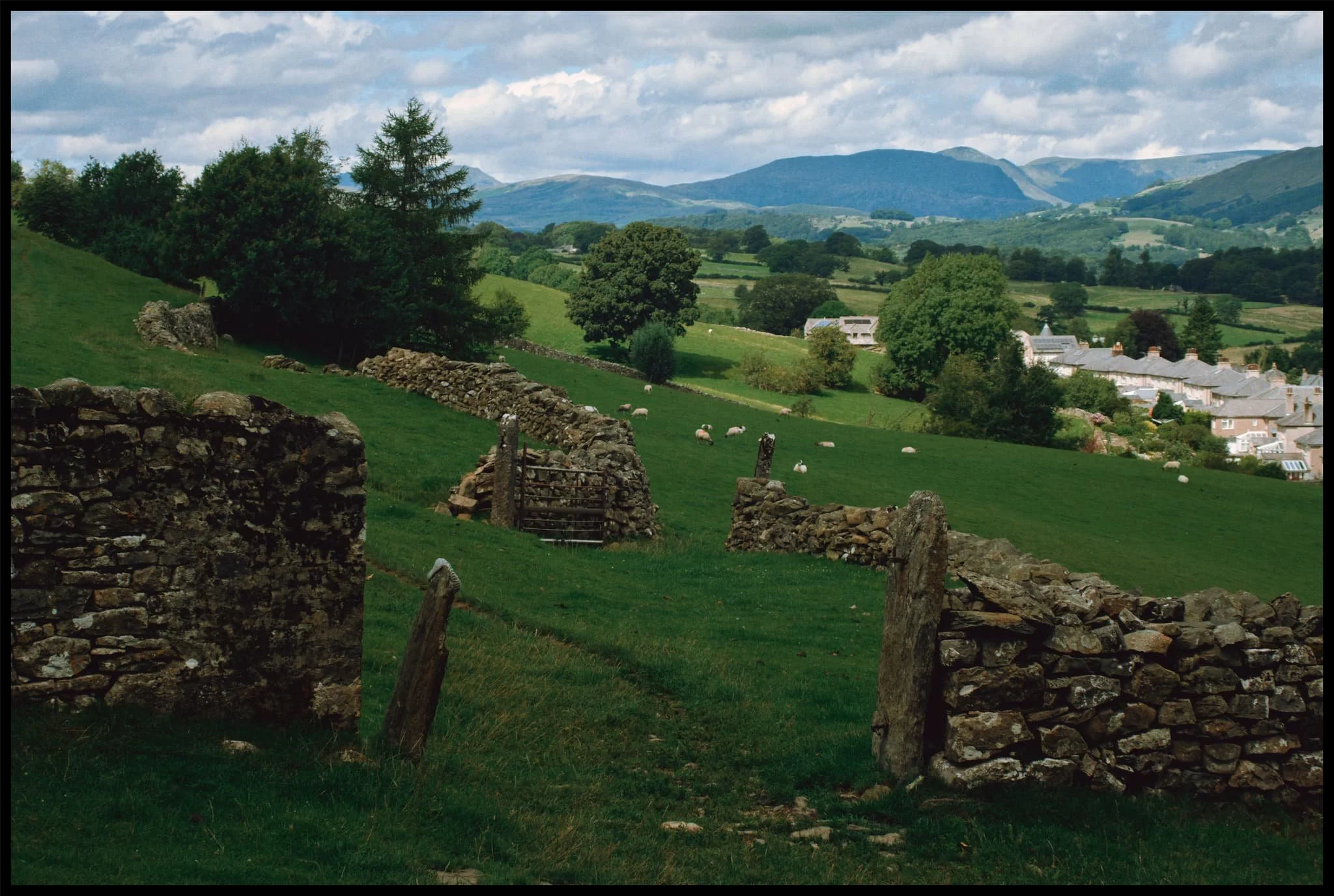  I can never resist these two compositions when walking the Helsfell Nab path. 