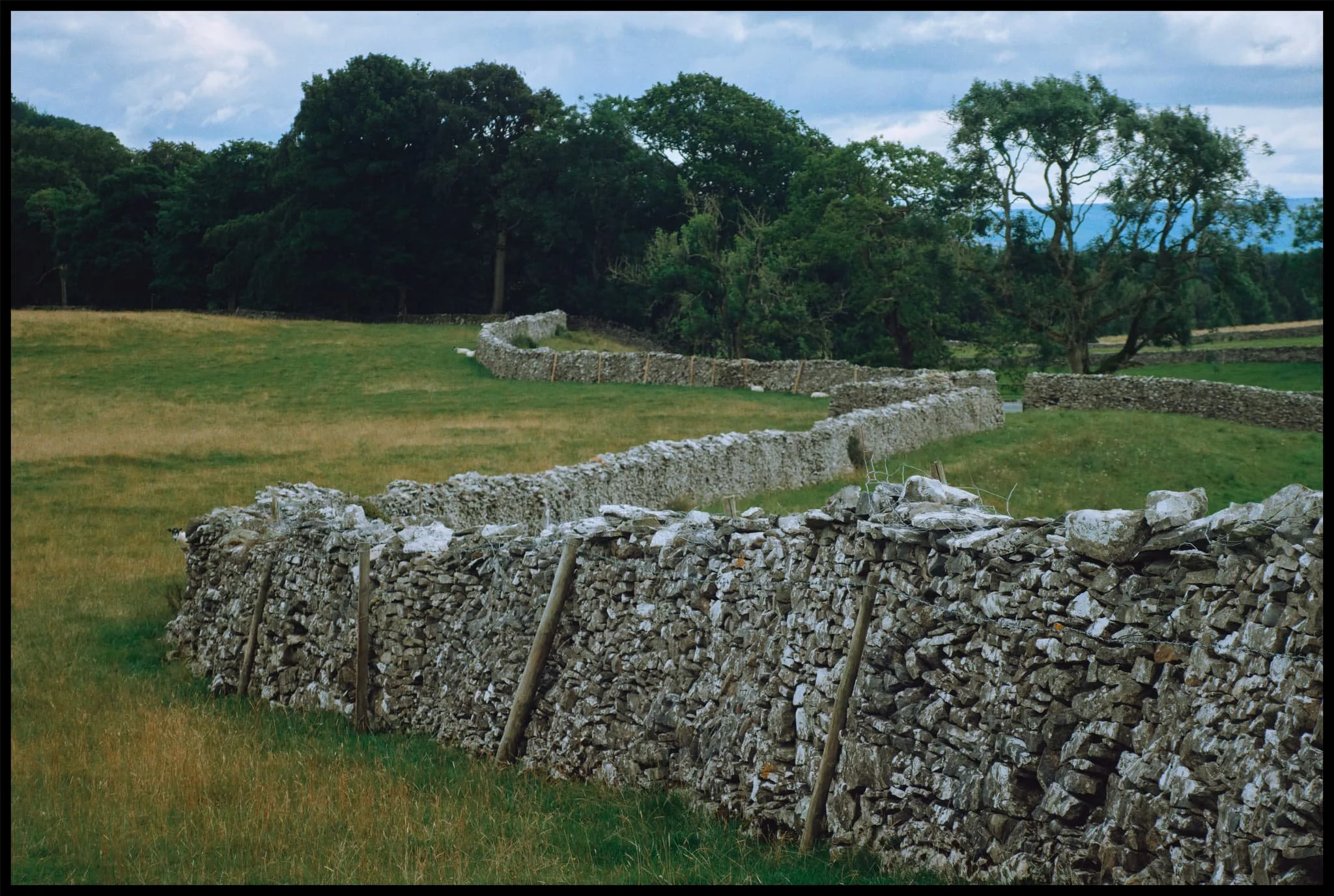  Oh! A winding drystone wall? Time for a photo then. 