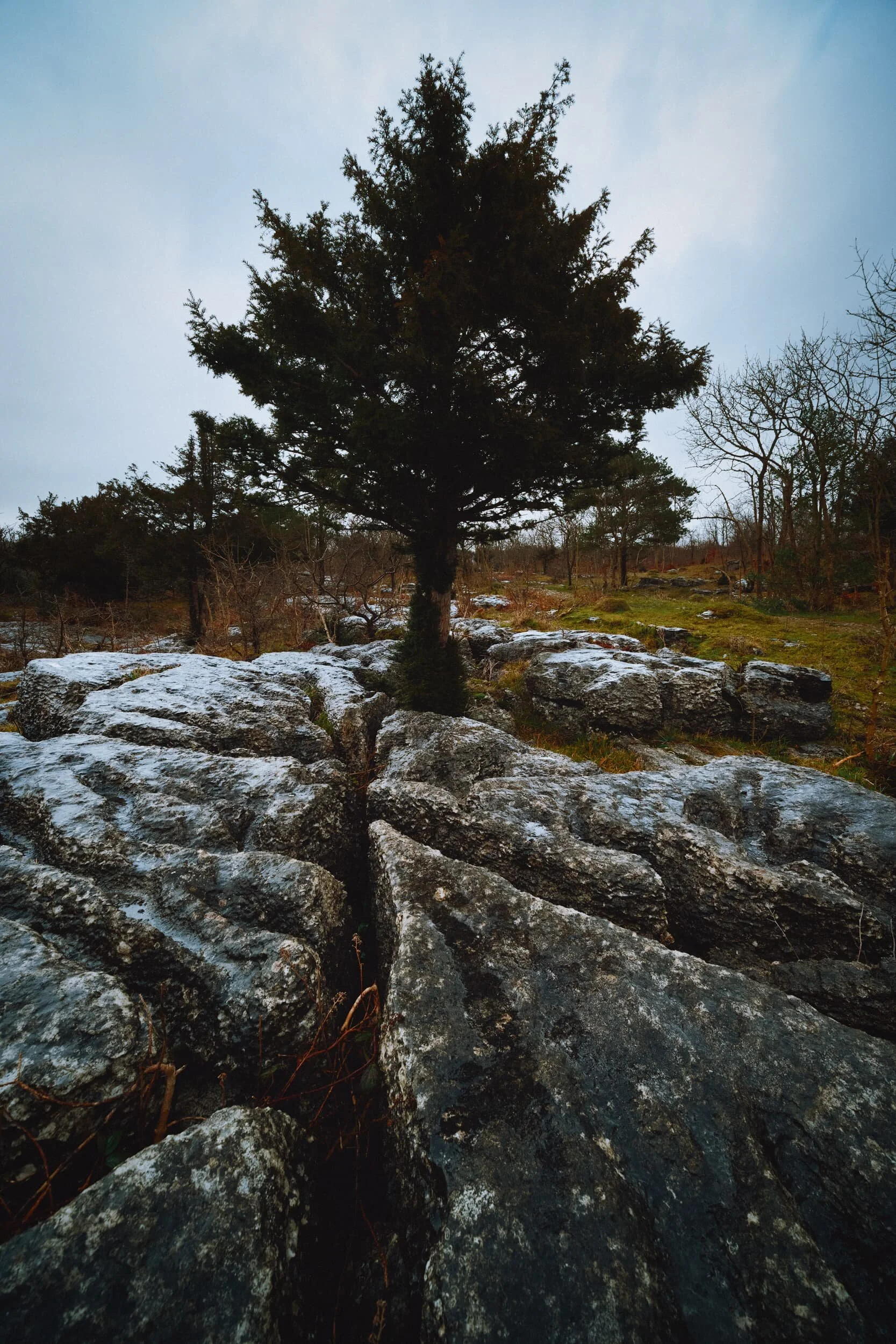 More interesting lines and shapes in this composition.