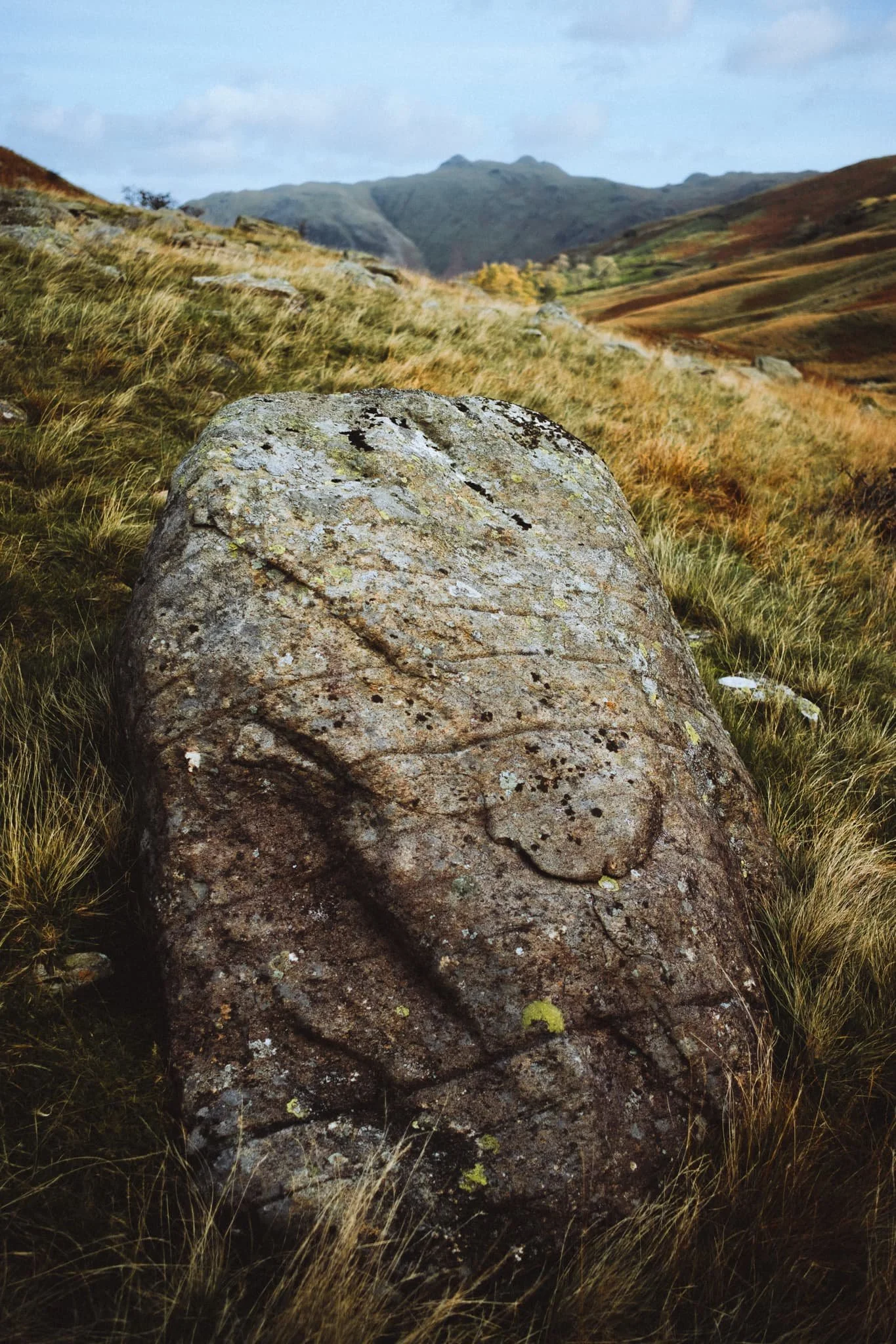  Dad and I spotted this boulder, and immediately made out the face-like structure in its forms. So, I lined up this composition involving Angletarn Pikes. 