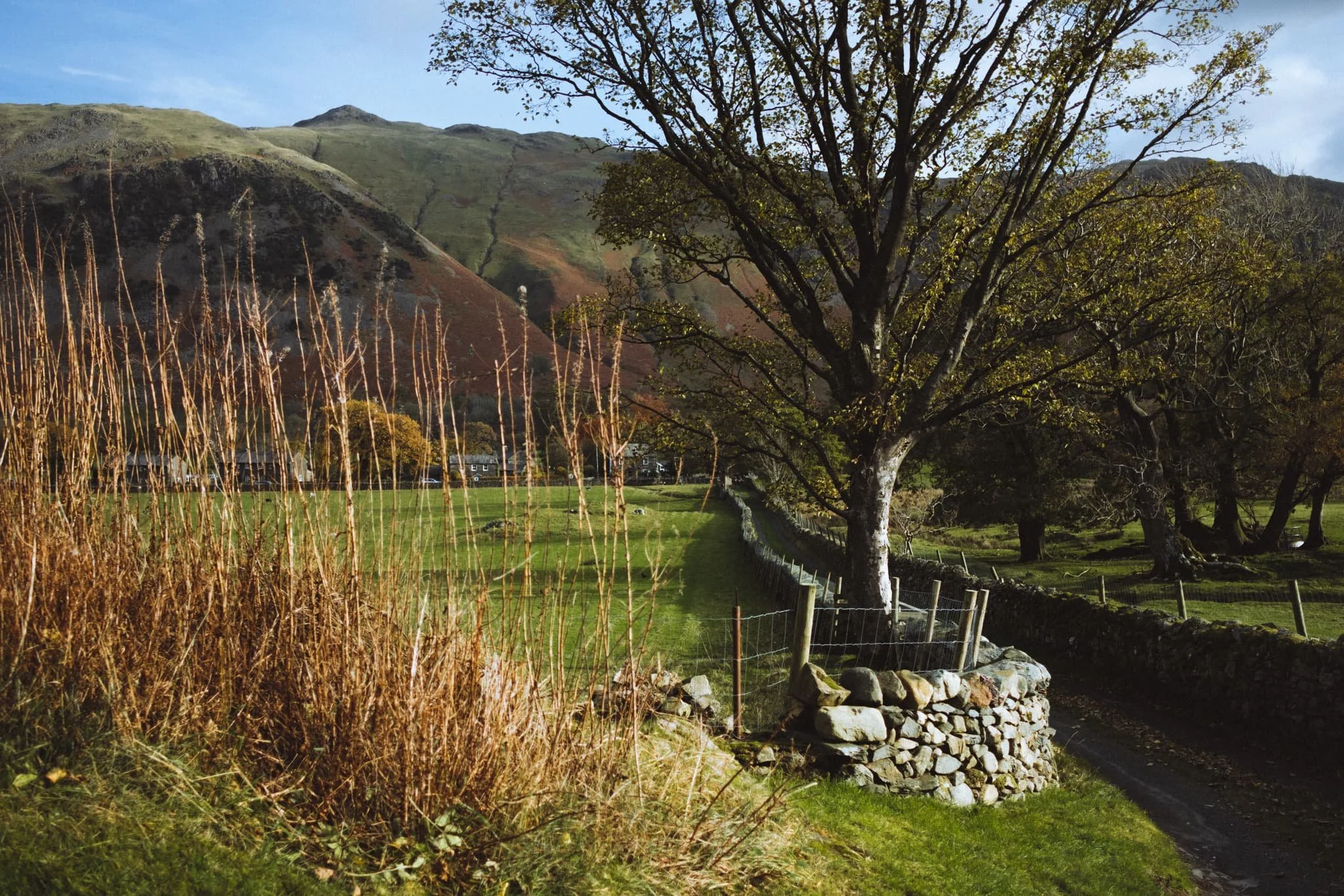  The farm track back to the main road. Almost impossibly idyllic. 