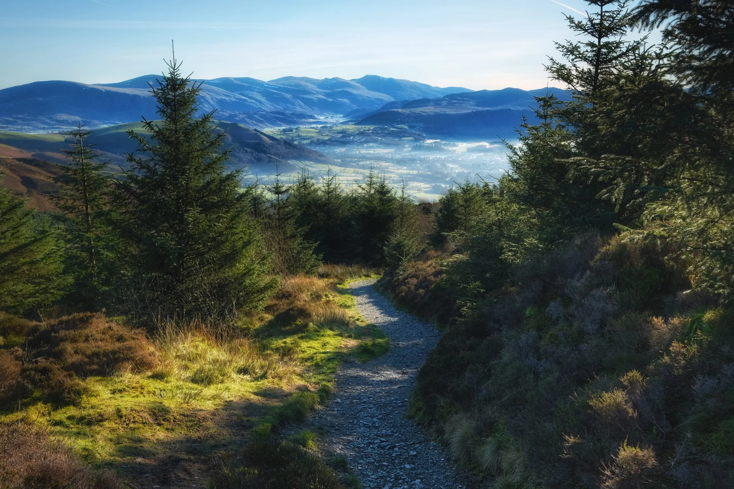  One of many  incredible  views you can enjoy around the summit of Dodd. Above the woods and the temperature inversion, a clear sight towards the Helvellyn range reveals itself. 
