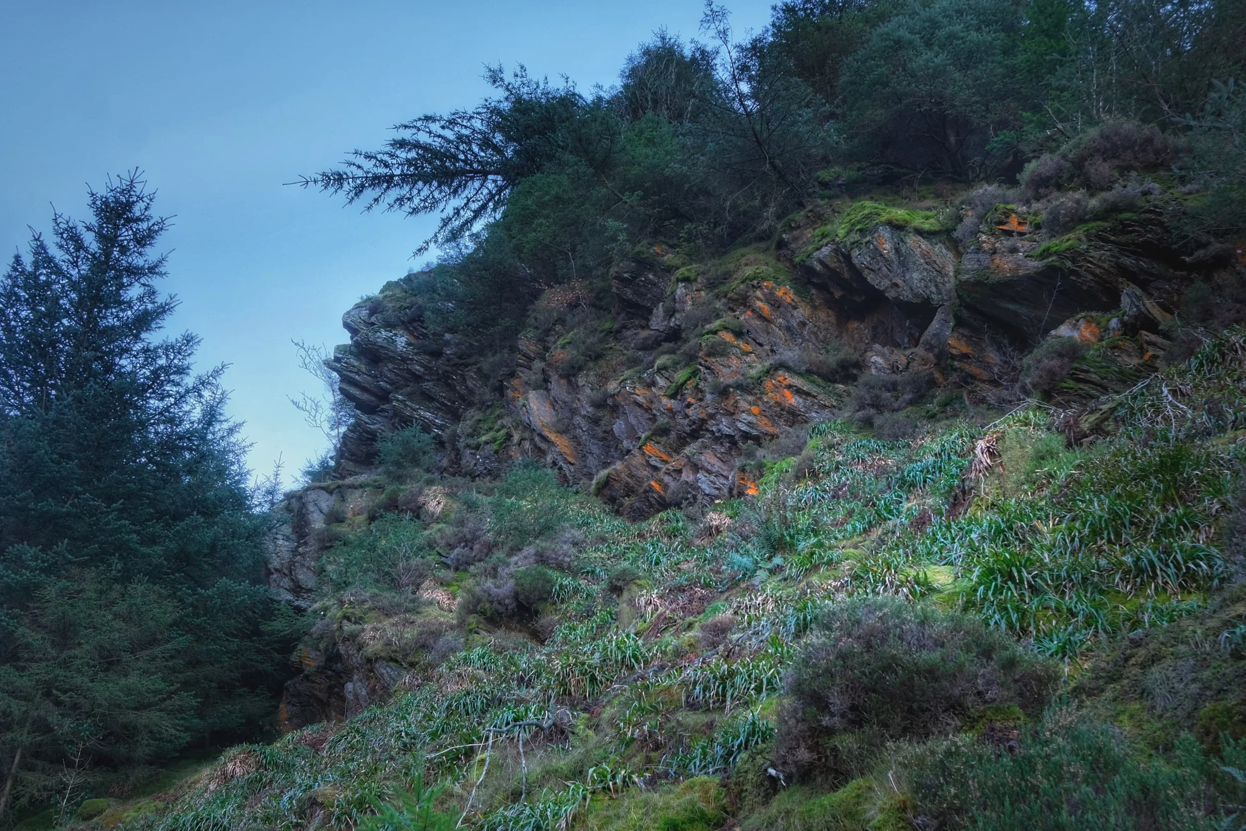  As we started to emerge above Dodd Forest, more of the fell&rsquo;s rough and craggy summit becomes apparent. 