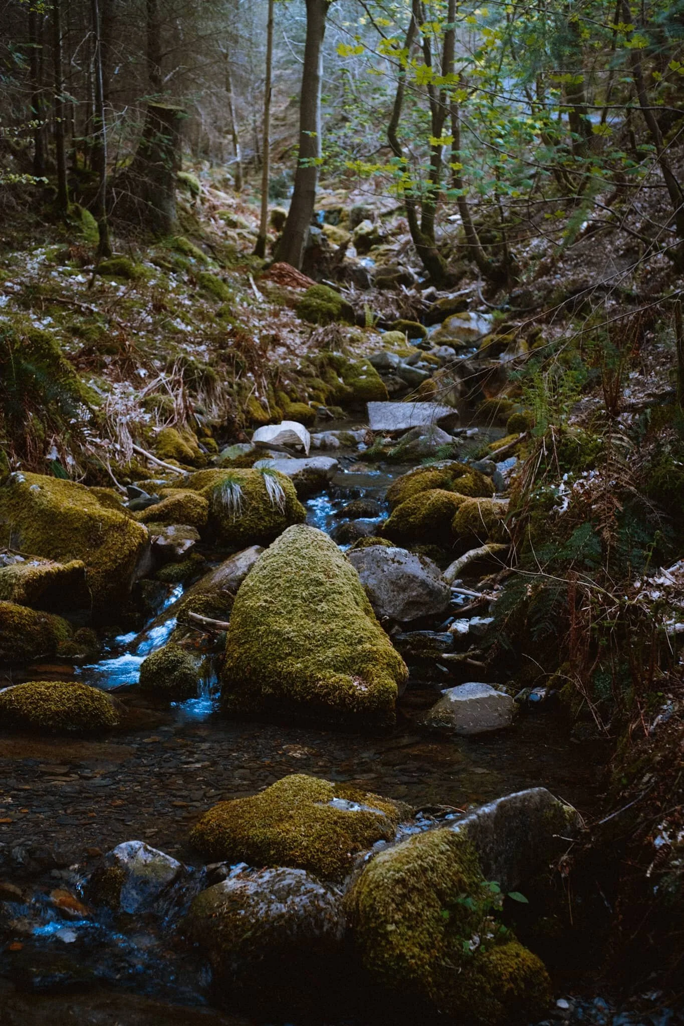 Skill Beck, like a lot of rivers in the Lake District at the moment, was very dry and barely a trickle, as it tumbled through the woods.
