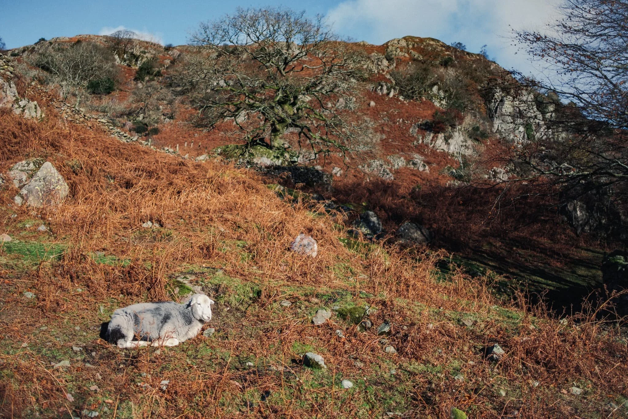  This lovely lady had no issues at all posing for us as we snapped away. 
