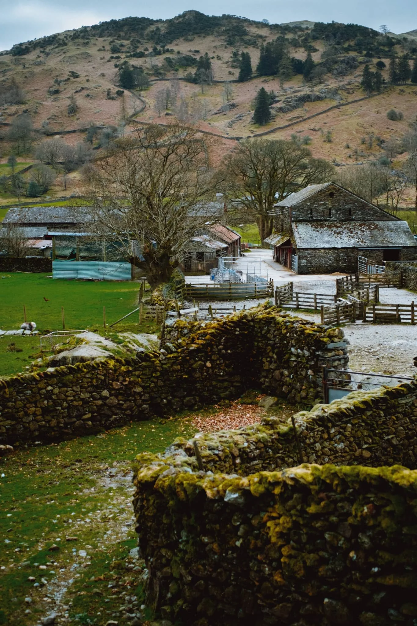 Brimmer Head Farm. This is referenced on the OS Map in an old-style Blackletter typeface, indicating historical interest. Turns out that there’s a building in the farm that dates back to 1574, reputedly the oldest house in Grasmere.