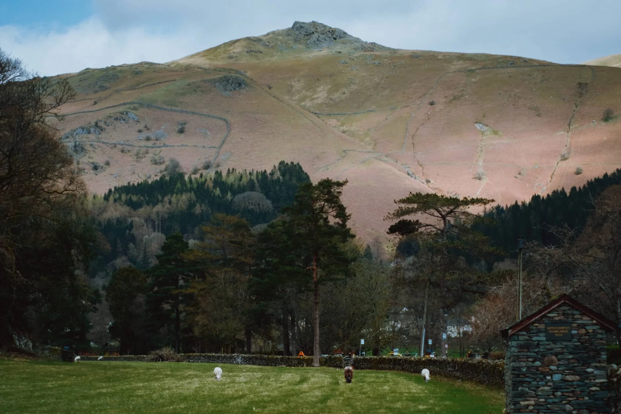 Heron Pike above the village, catching some rays. Sheep peacefully graze in the common alongside Broadgate. A day that makes you feel truly grateful.