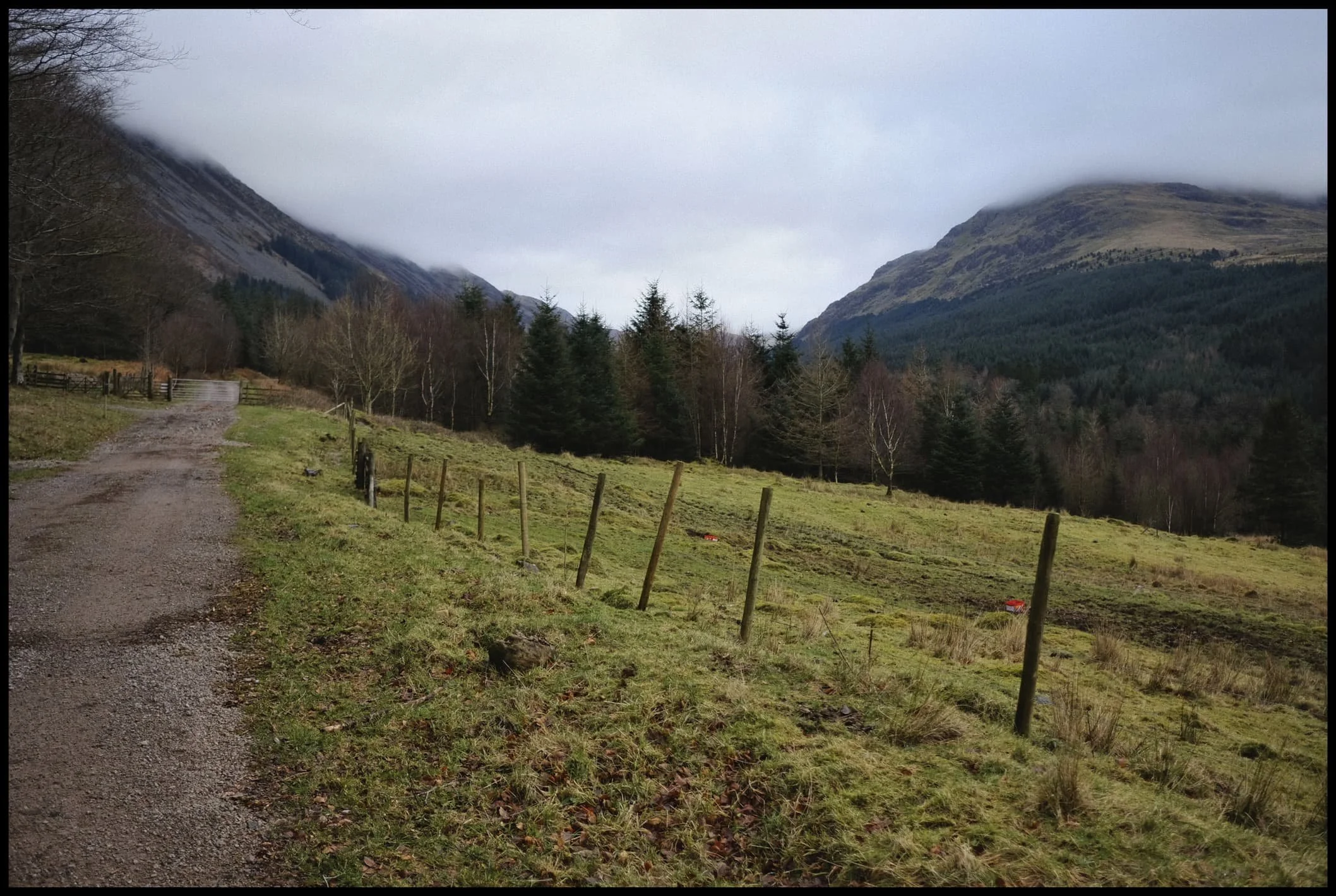  Near the Low Gillerthwaite Field Centre, the forest cover recedes a little and we get out first glimpse of the mighty Pillar. My excitement levels build. 