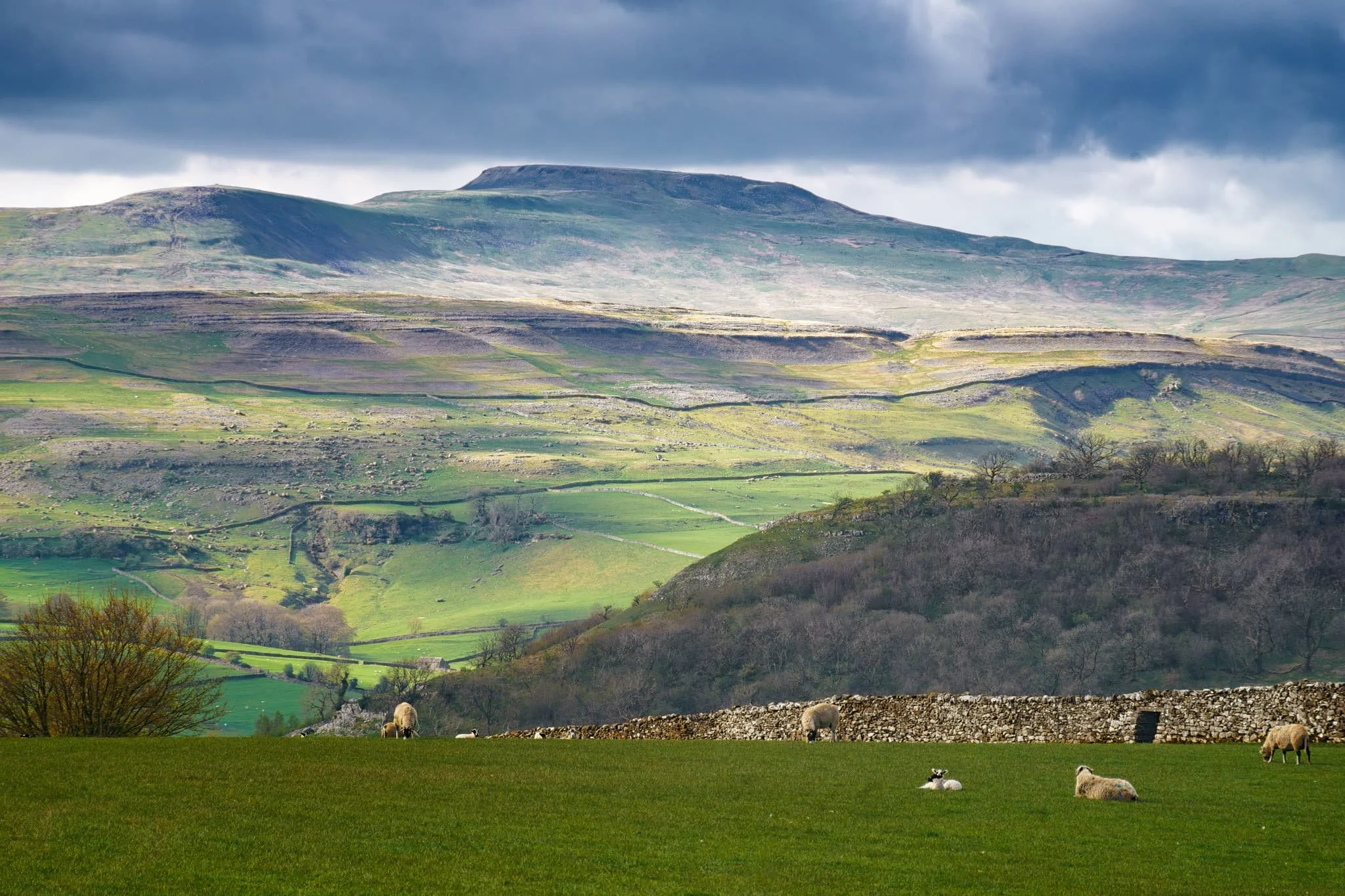 A super-zoomed in composition of the back of Ingleborough, taken from the small lane between Feizor and Buck Haw Brow, light dancing across the karst features of the land.