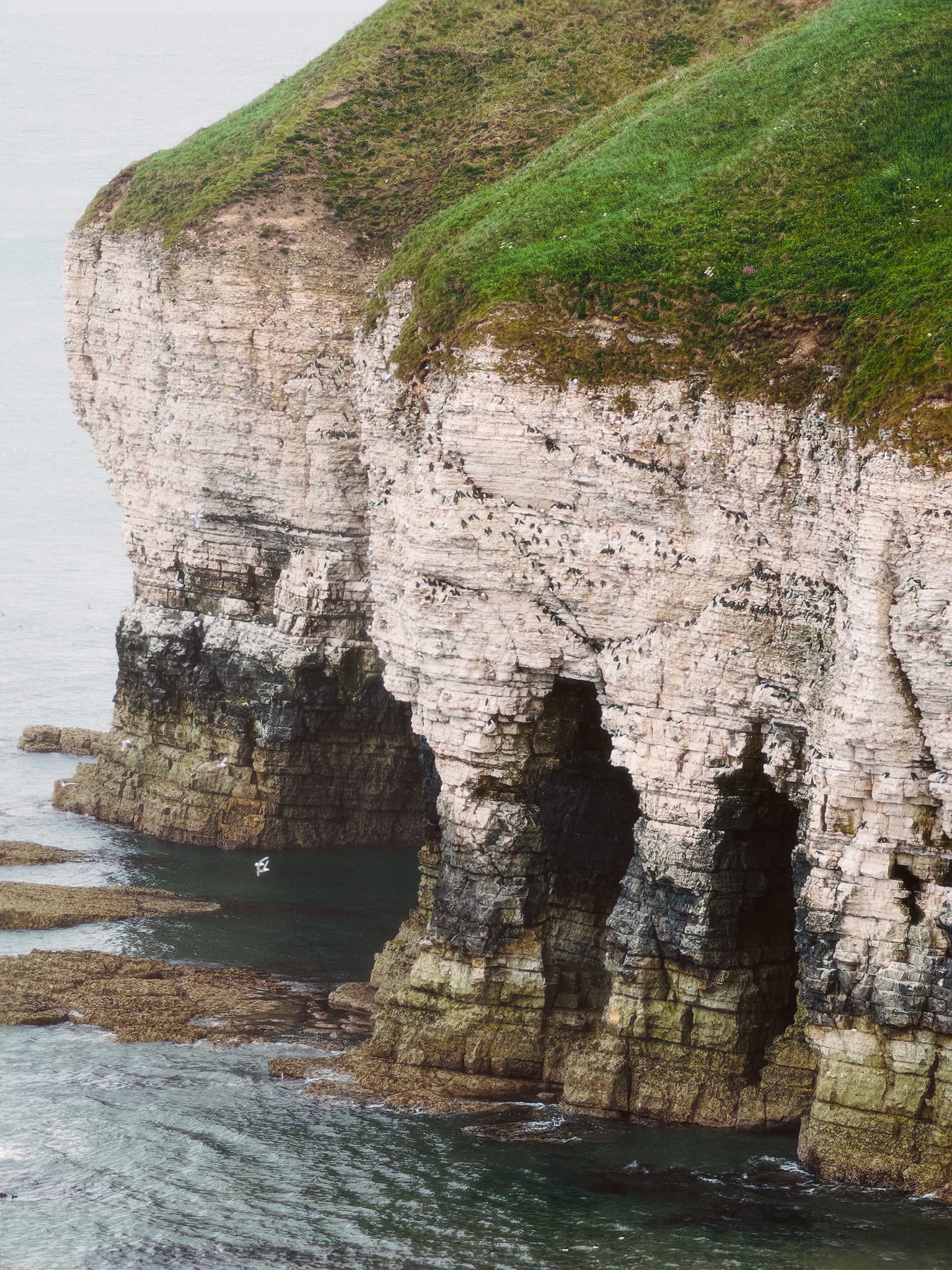 Interweaving arches and caves that one can thread in and out of. Also pictured, hundreds of sea birds, such as northern gannets, kittiwakes and Atlantic puffins.