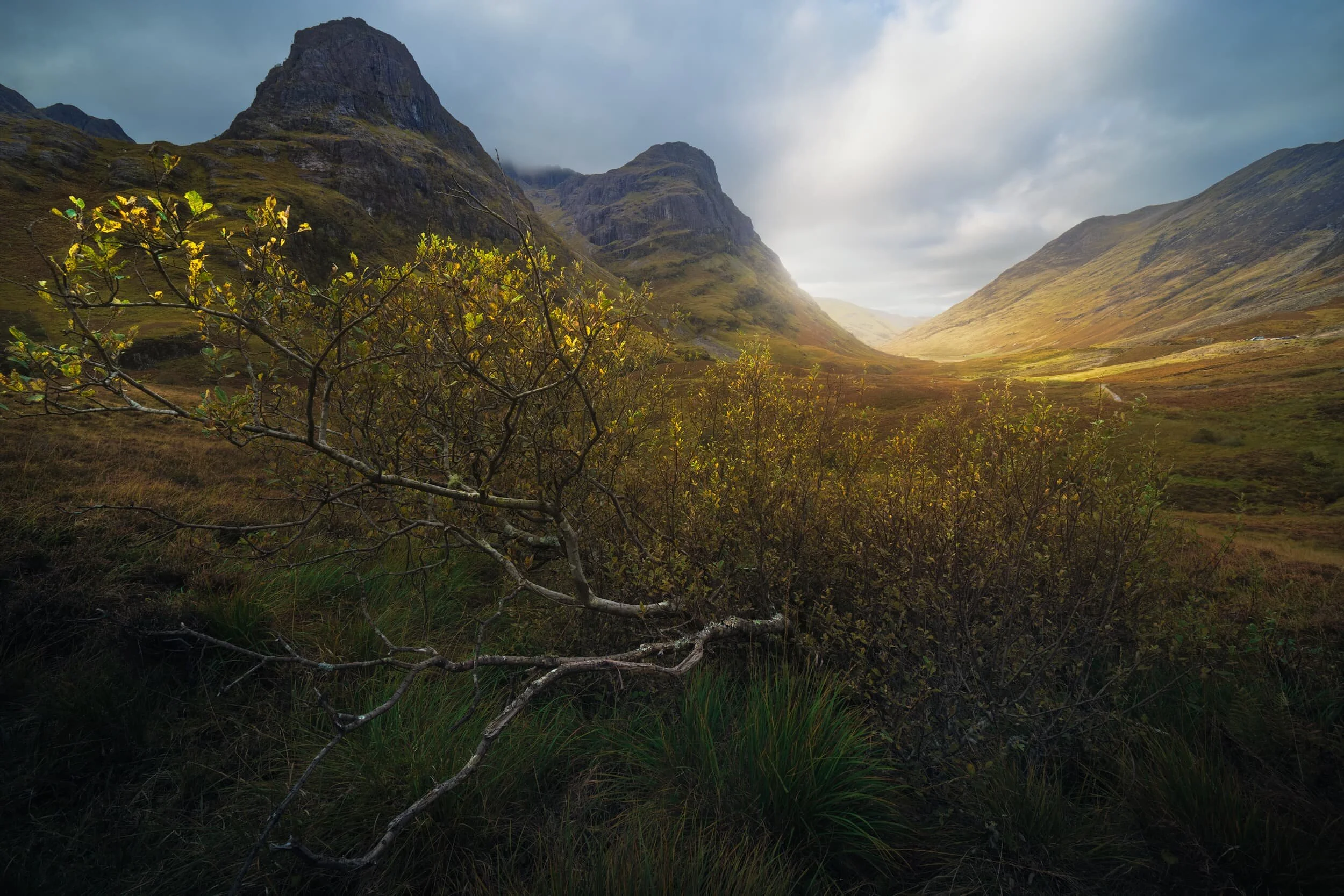  A true autumnal scene of Glencoe, looking westwards with  Gearr Aonach  and  Aonach Dubh  on the left and  Aonach Eagach  on the right. 