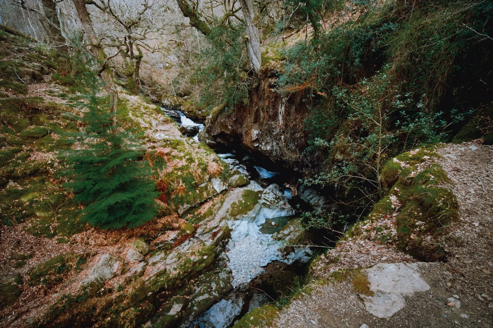  Beyond the main show that is Aira Force, one can take a quick detour off the main footpath to get this view of High Force. 