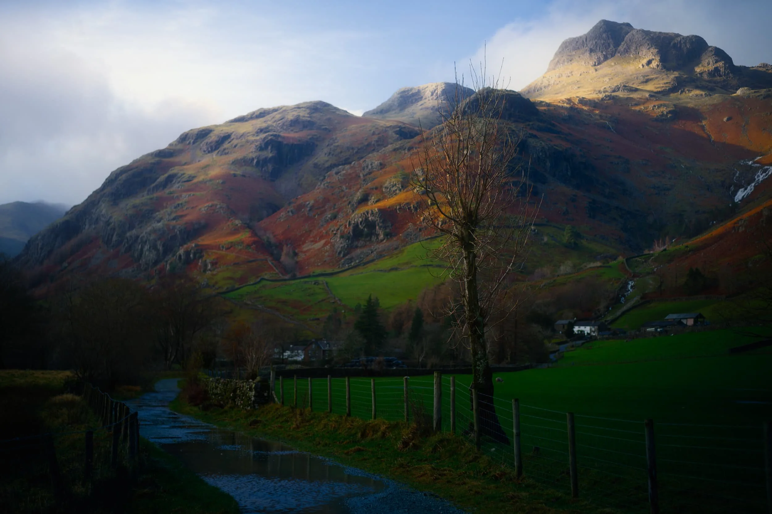 More beautiful late afternoon light, picking out the contours and crags of the Langdale Pikes.