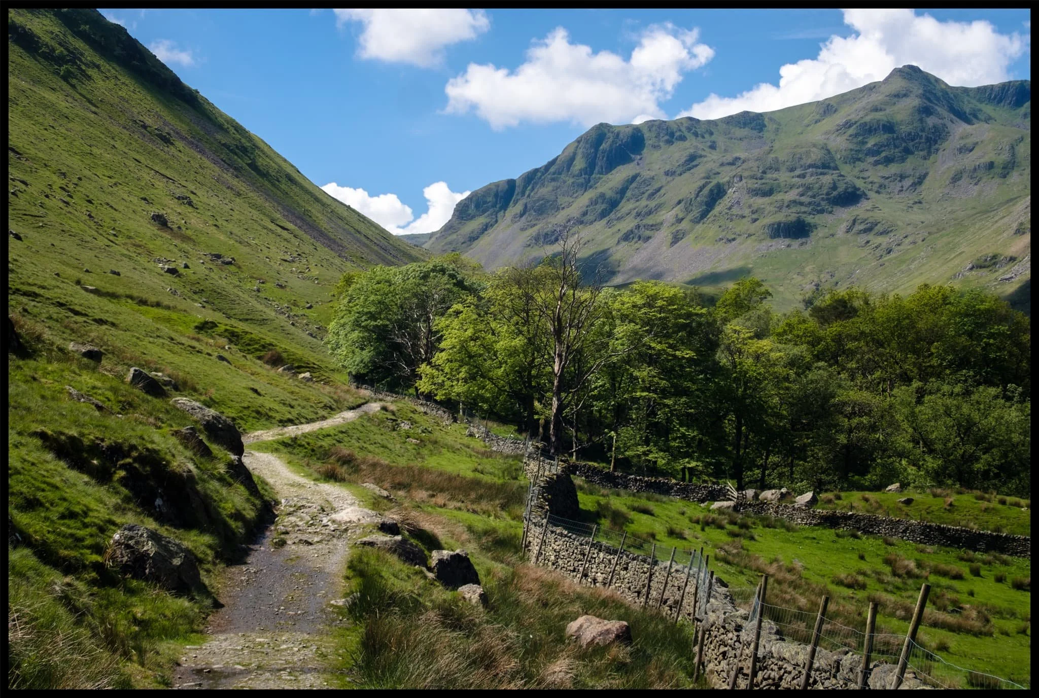  Beyond Elmhow, the valley starts to narrow as we approach the head. All along the way, Dollywaggon Pike watches over us. 