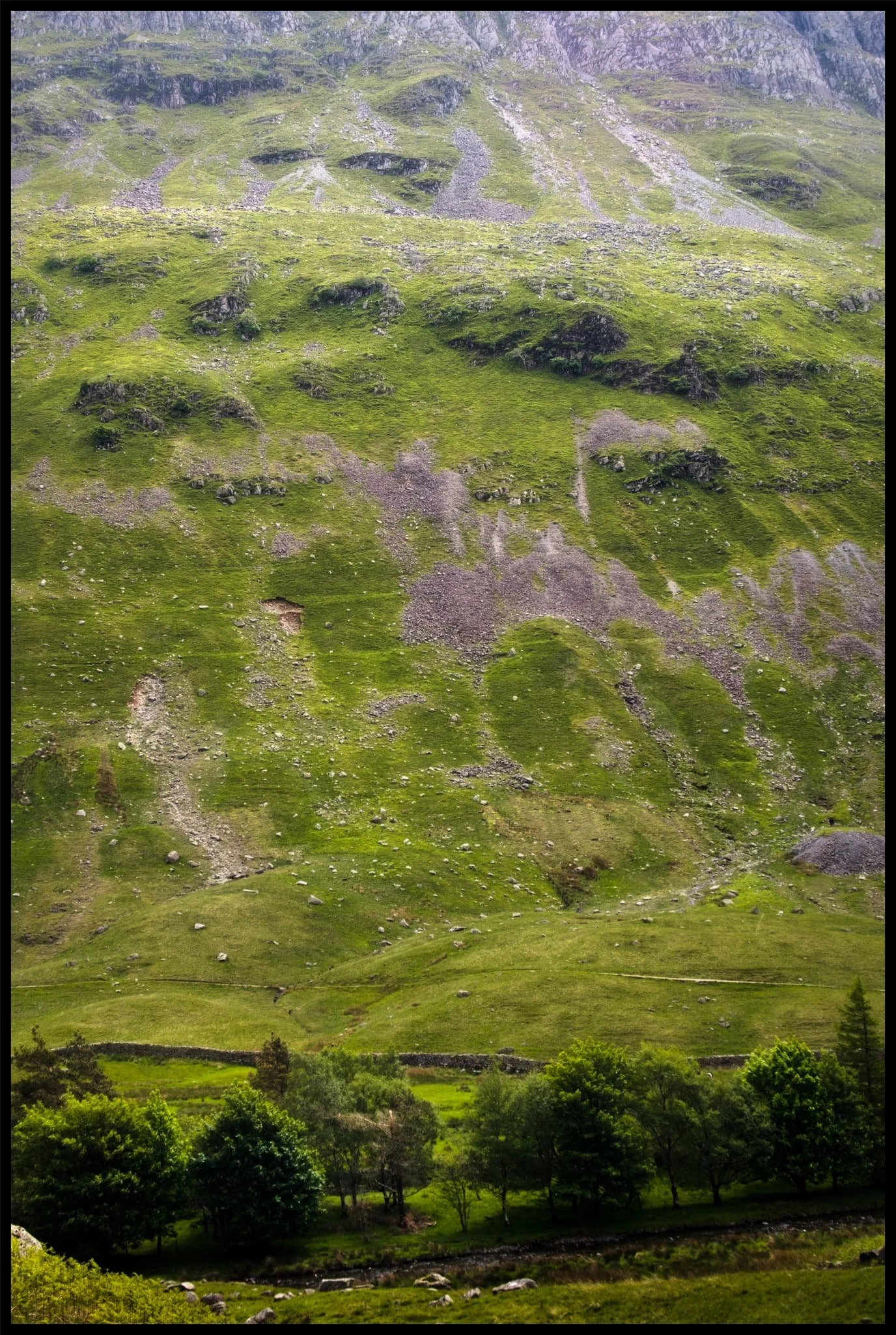  The sheer wall of St. Sunday Crag, immediately above the Crossing Plantation. 