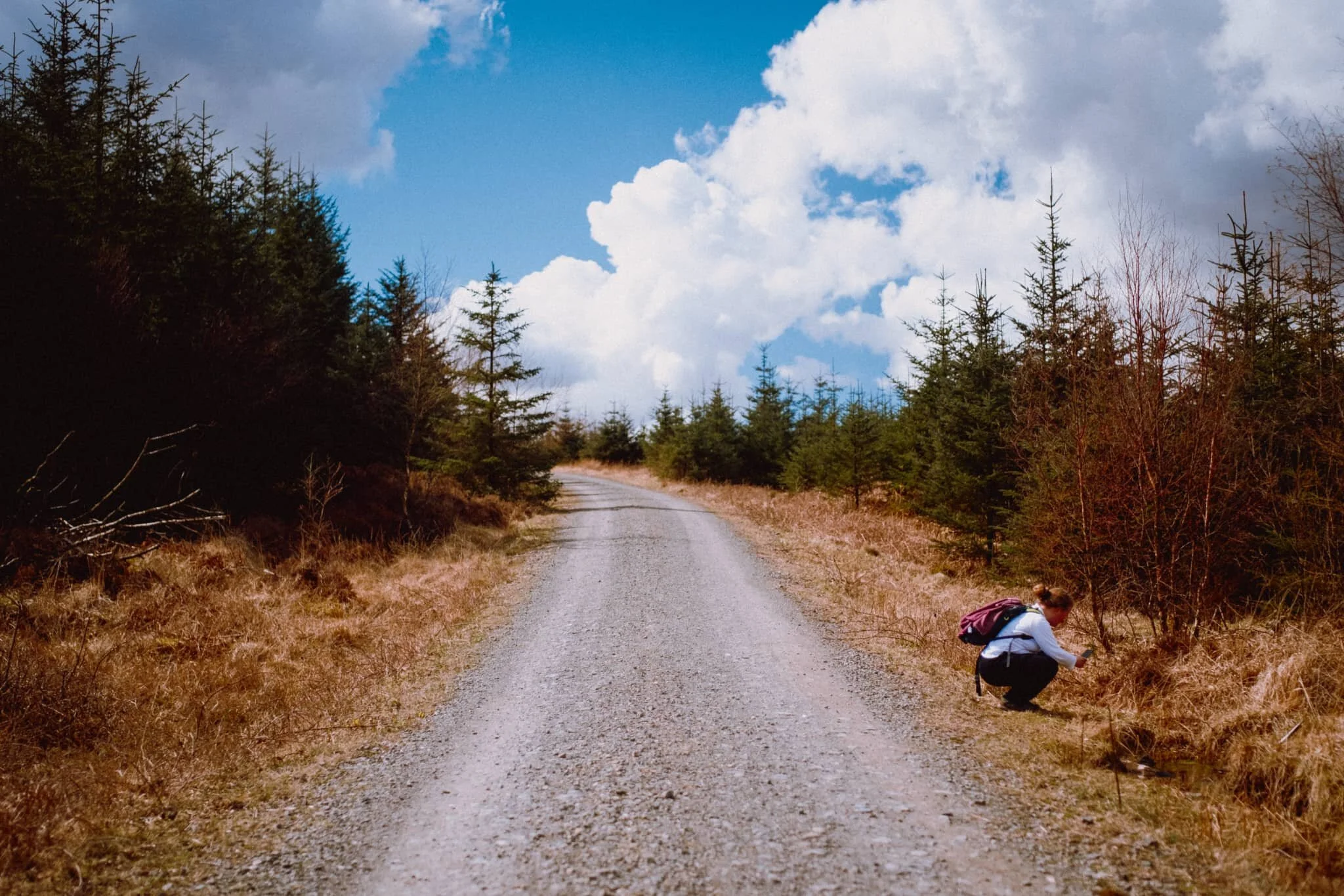  On the trail we quickly gain height via the clearly-marked finger posts. Lisabet&rsquo;s eagle eye spots some interesting minute details and goes in for some snaps. 