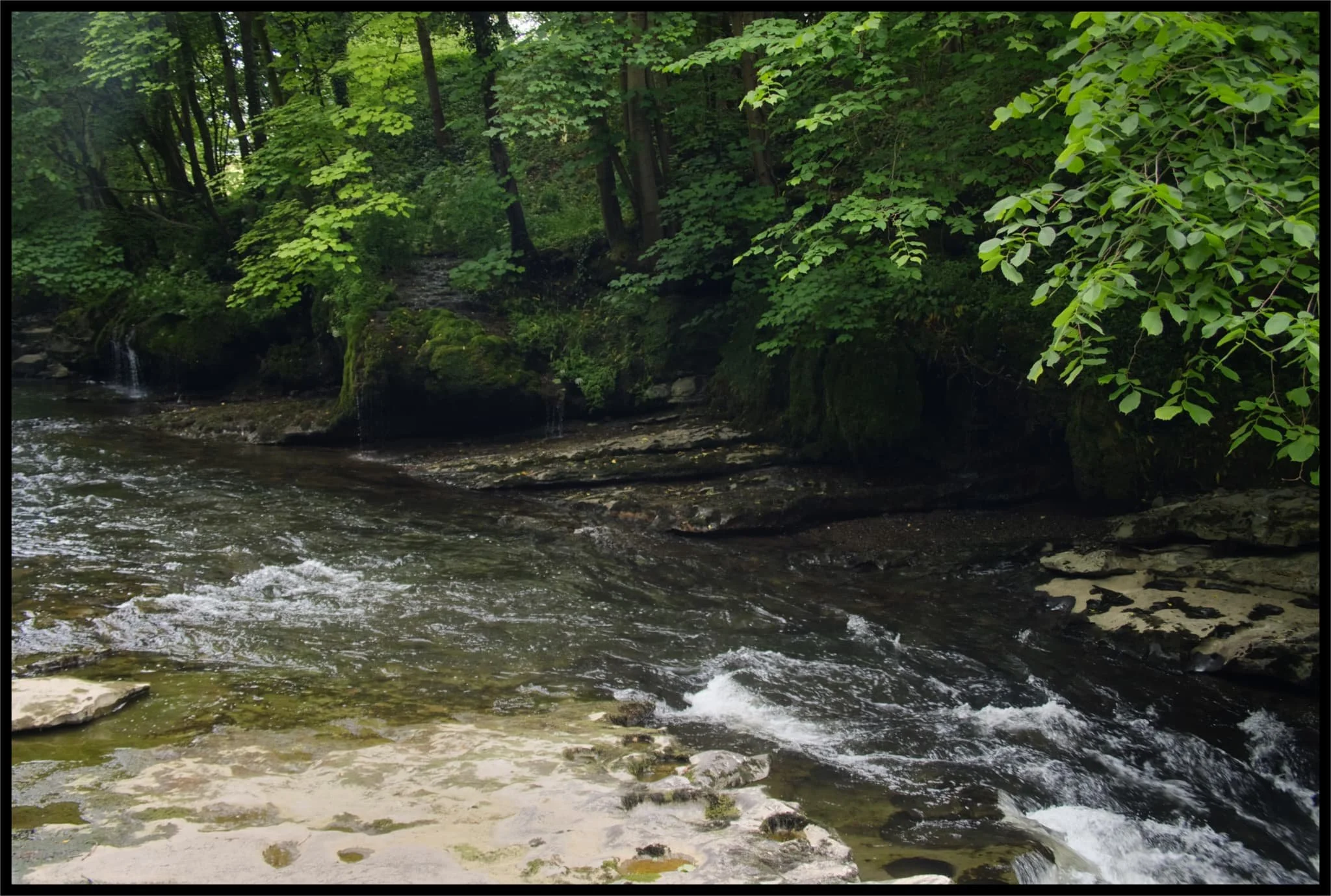  Above Hawes Bridge falls lots of teeny falls trickle into the river from the fields above. 