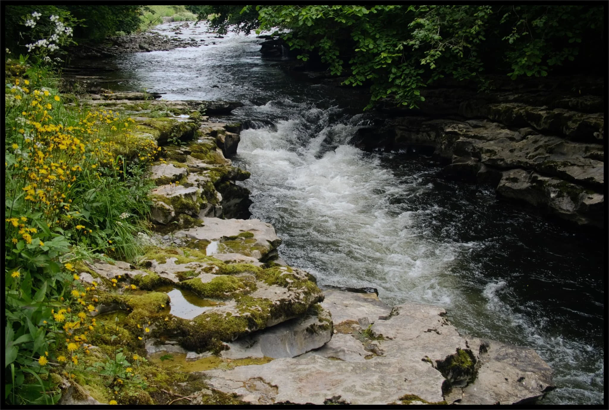  Hawes Bridge falls, looking a lot tamer and smaller with the lack of rain in recent months. 