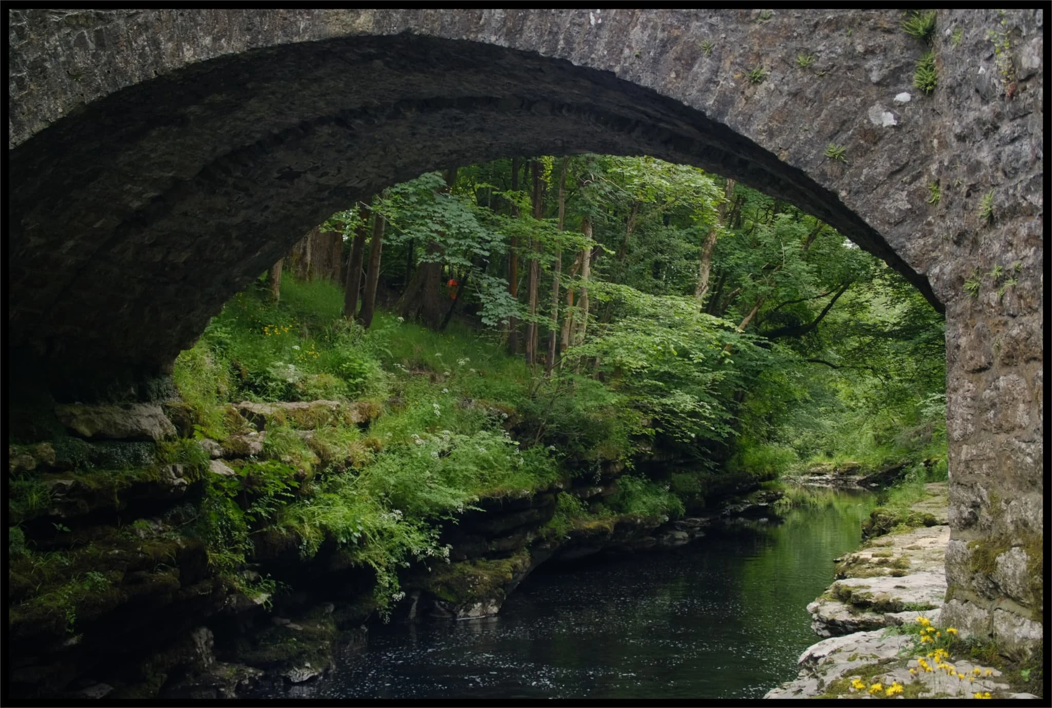  The gorge is lush and verdant, framed nicely underneath Hawes Bridge. 