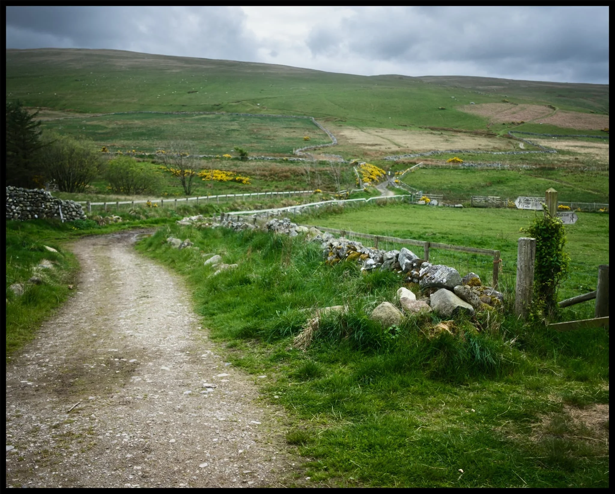  One last look back at the trail we took to High Pike. What a crackin&rsquo; hike and a beautiful conclusion to our week. 