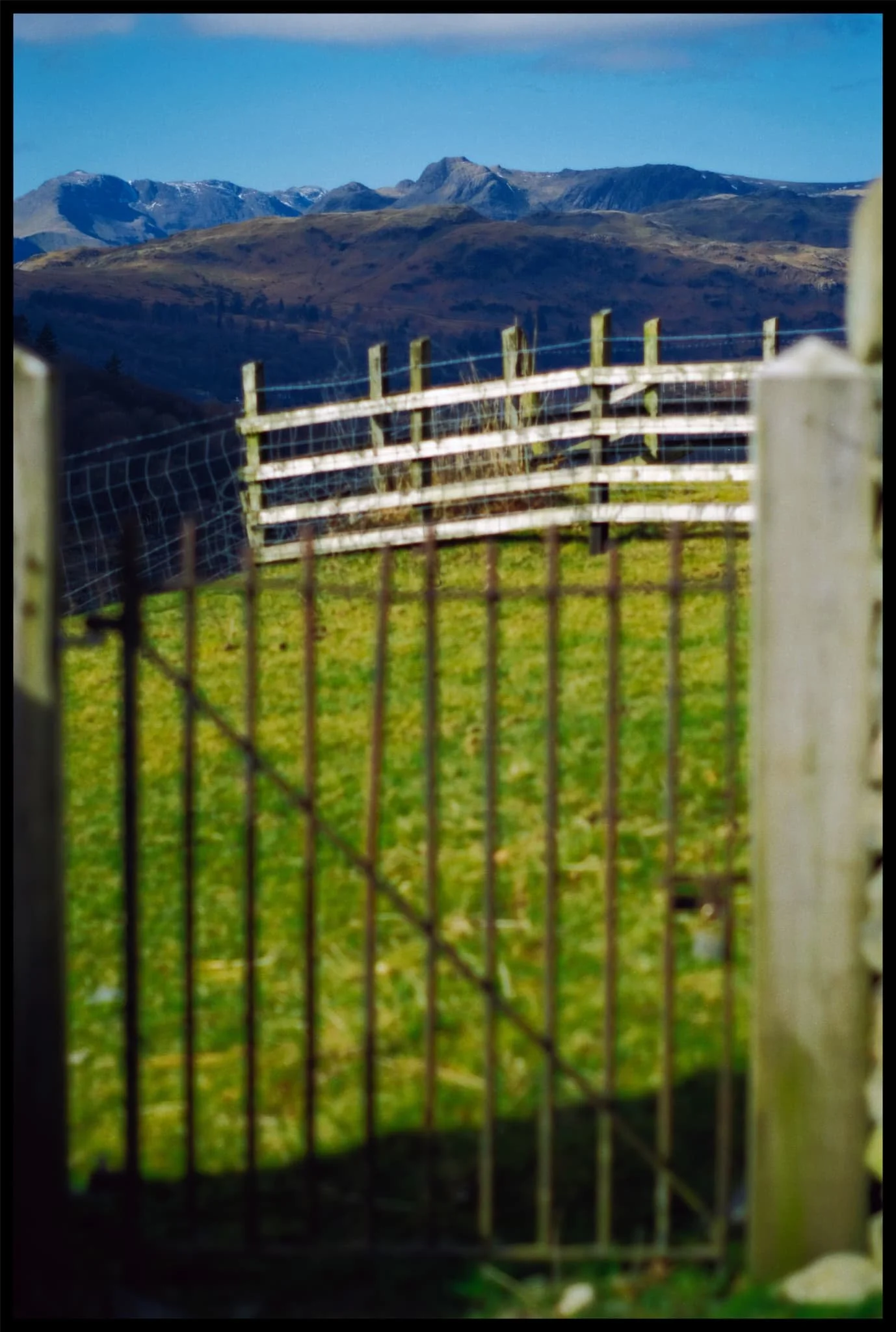  One last peek at the Langdale Pikes before we drop down the fellside into Ambleside. 