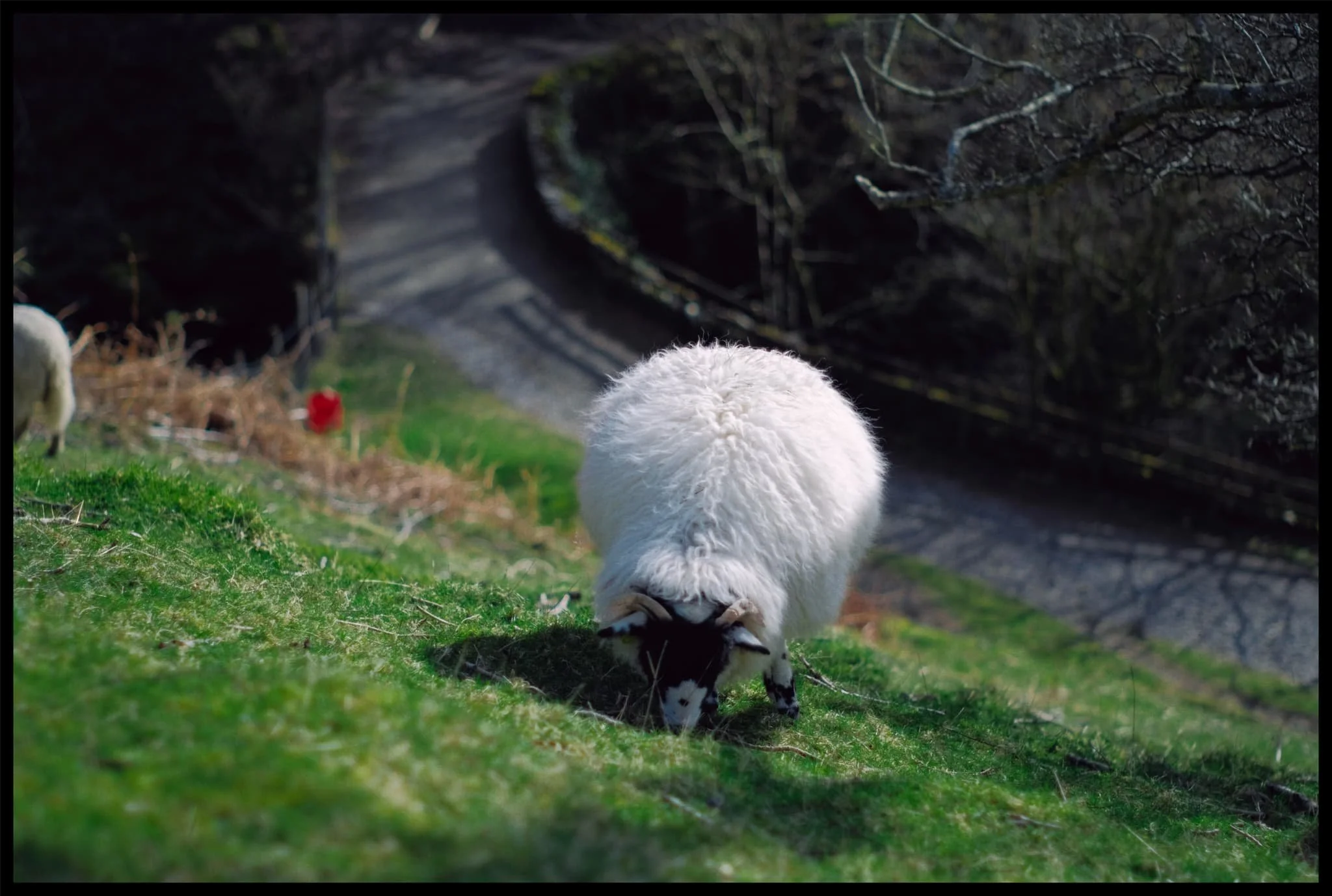  What a crackin&rsquo; day. 