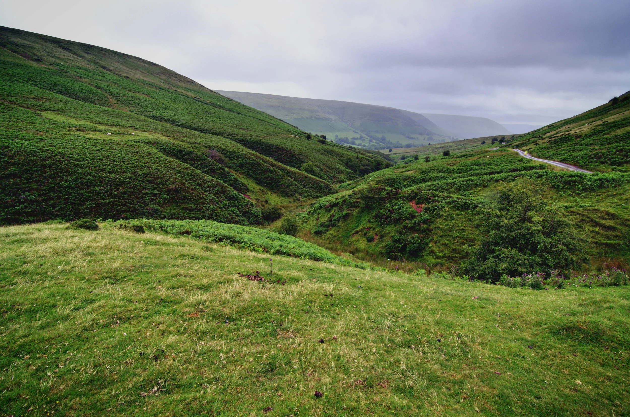 Heart Of The Valley Lightsweep.Tumblr.Com Licensed Under A Creative Commons Attribution Noncommercial Sharealike 3.0 Unported License