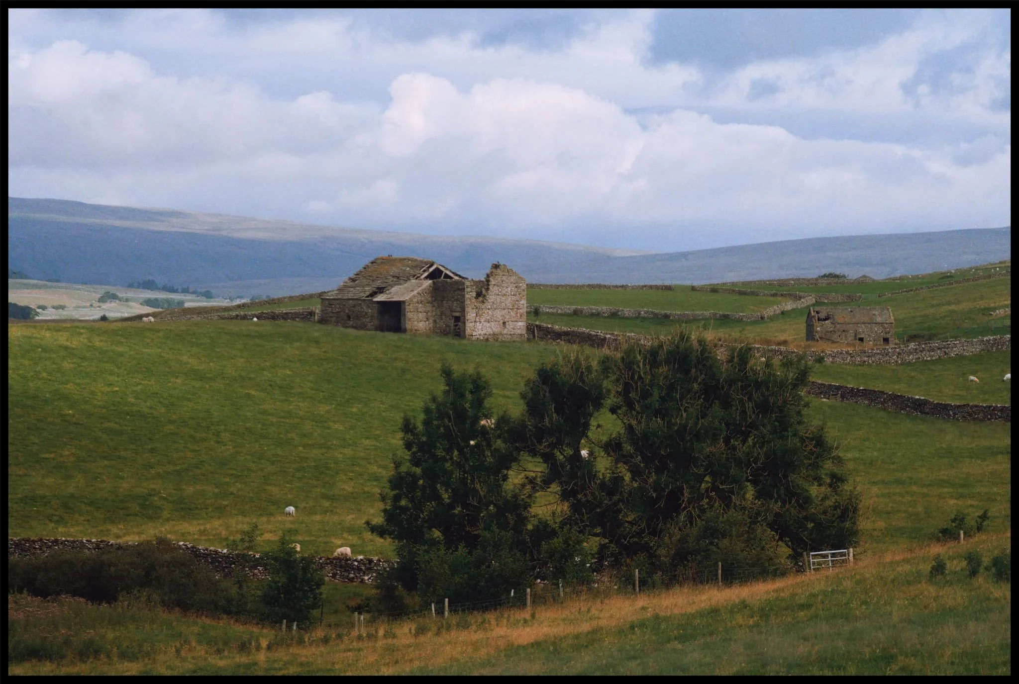  The characteristic barns of the Yorkshire Dales, some in a better condition than others. 