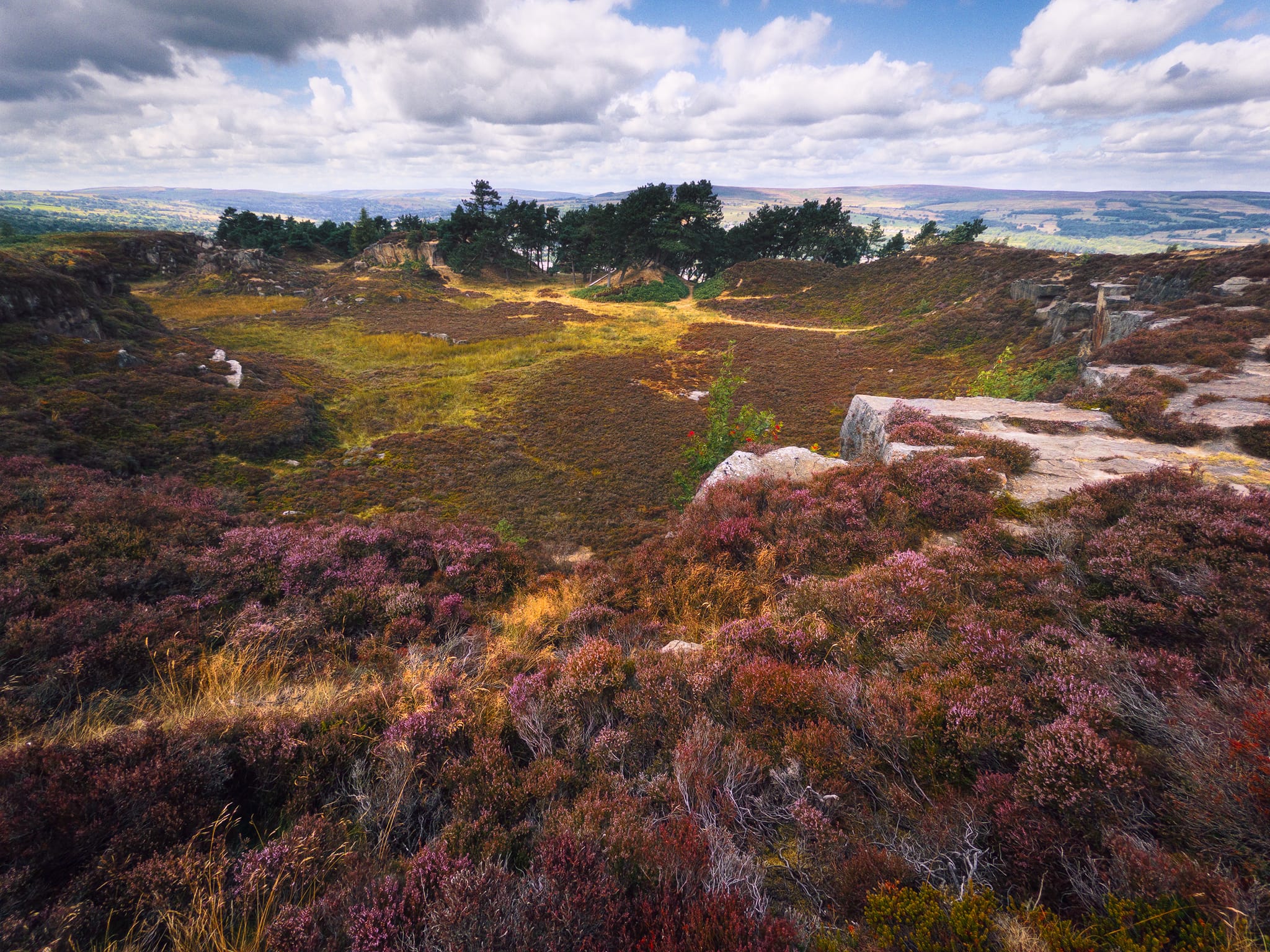 Another former quarry near the Cow & Calf, completely reclaimed by nature and covered in beautiful magenta heather.