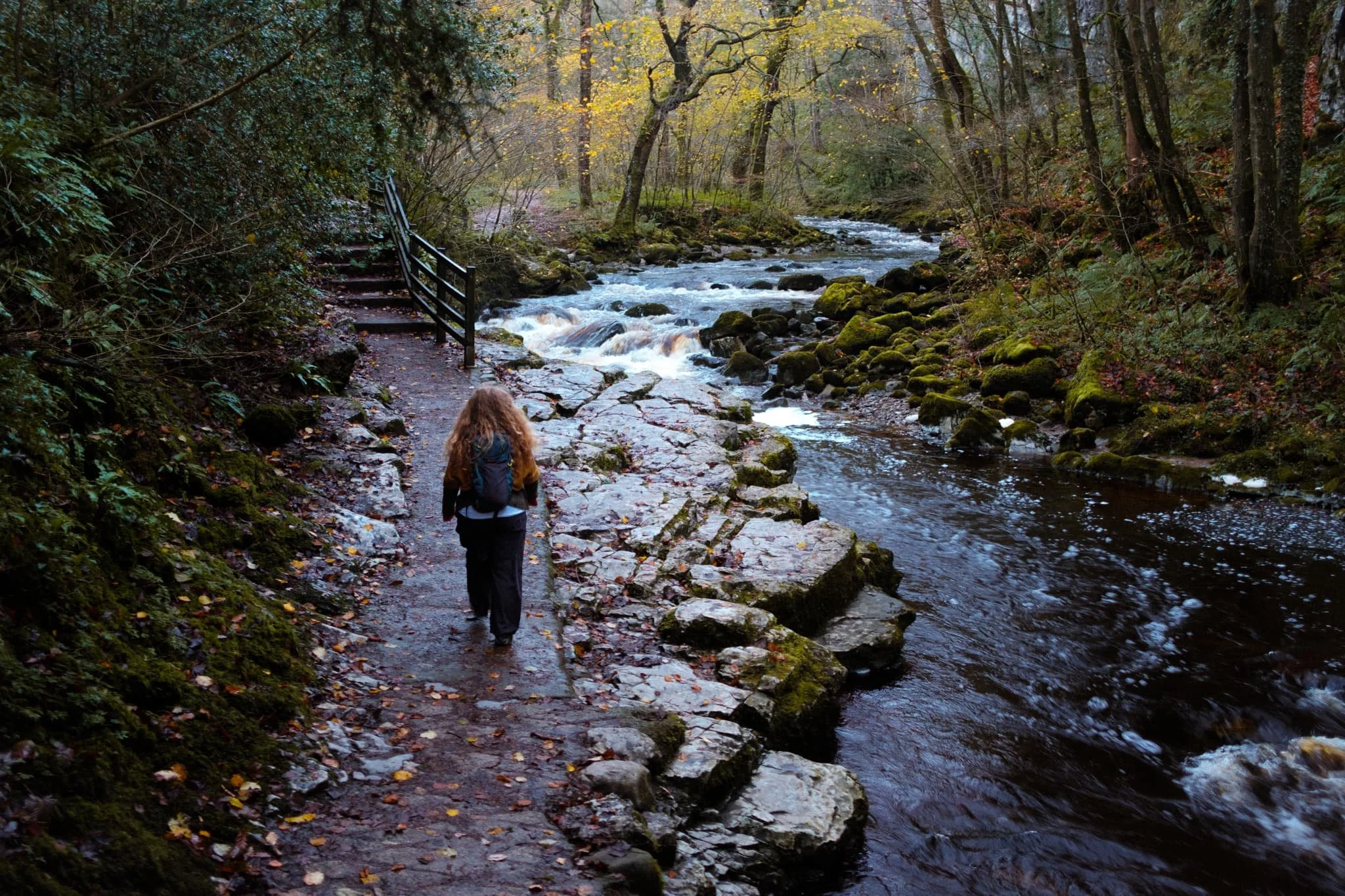  The first part of the trail heads down into the depths of the Swilla Glen, created by the River Twiss. Already the autumn colours has us excited. 