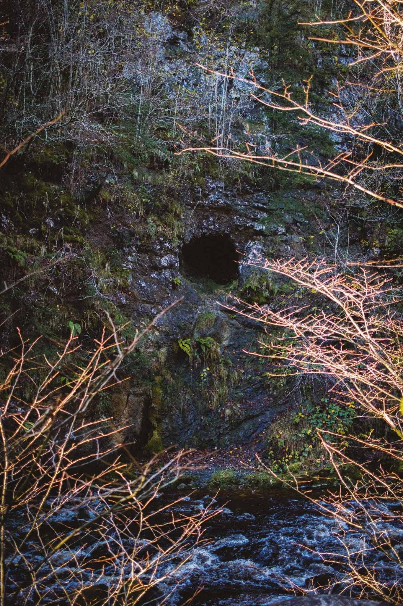  Deeper into the gorge, I spotted a cave halfway up the gorge wall. The sun started to catch the tree branches, so I used them as leading lines pointing towards the cave. 