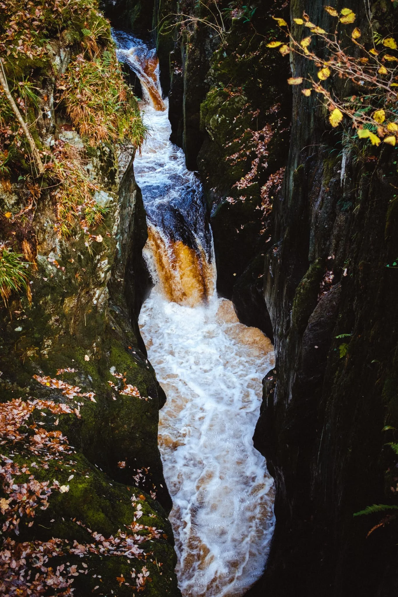  As we clamber down the trail south, the River Doe digs further and further down into the gorge, eventually culminating in this deep slot called Baxenghyll Gorge. A small footbridge allows stomach-churning views straight down the gorge. 