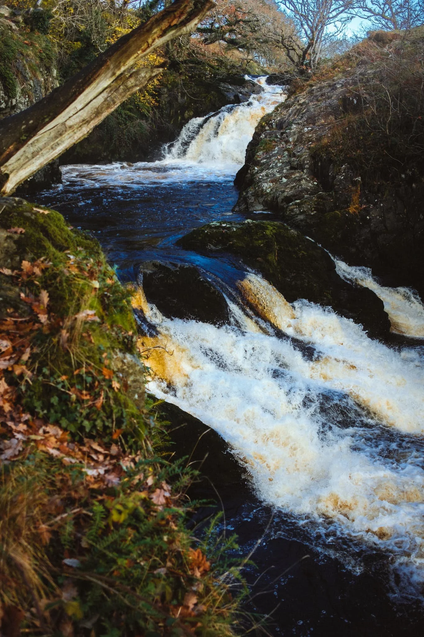  We joined the second half of the trail, which follows the River Doe south back to Ingleton. The first of the falls on the River Doe is Beezley Falls. 