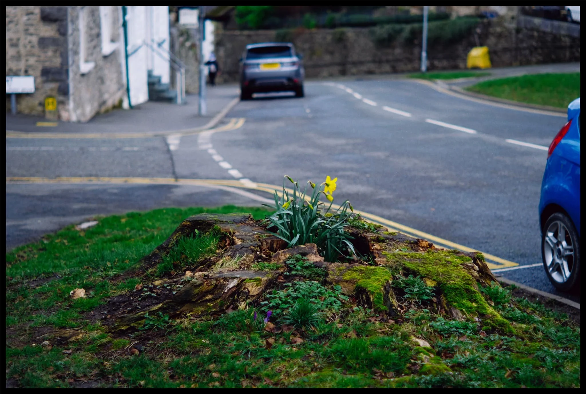  Life, finds a way… 