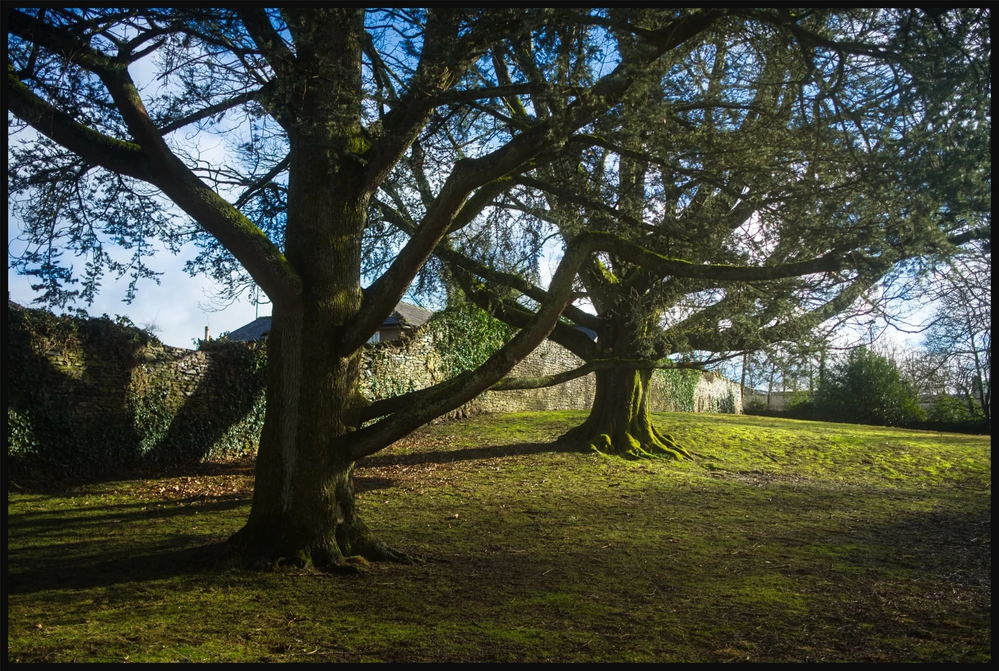  Storm Arwen destroyed many trees around Maudes Meadow. Thankfully, Dudley and Eunice didn&rsquo;t add to the casualty list. 