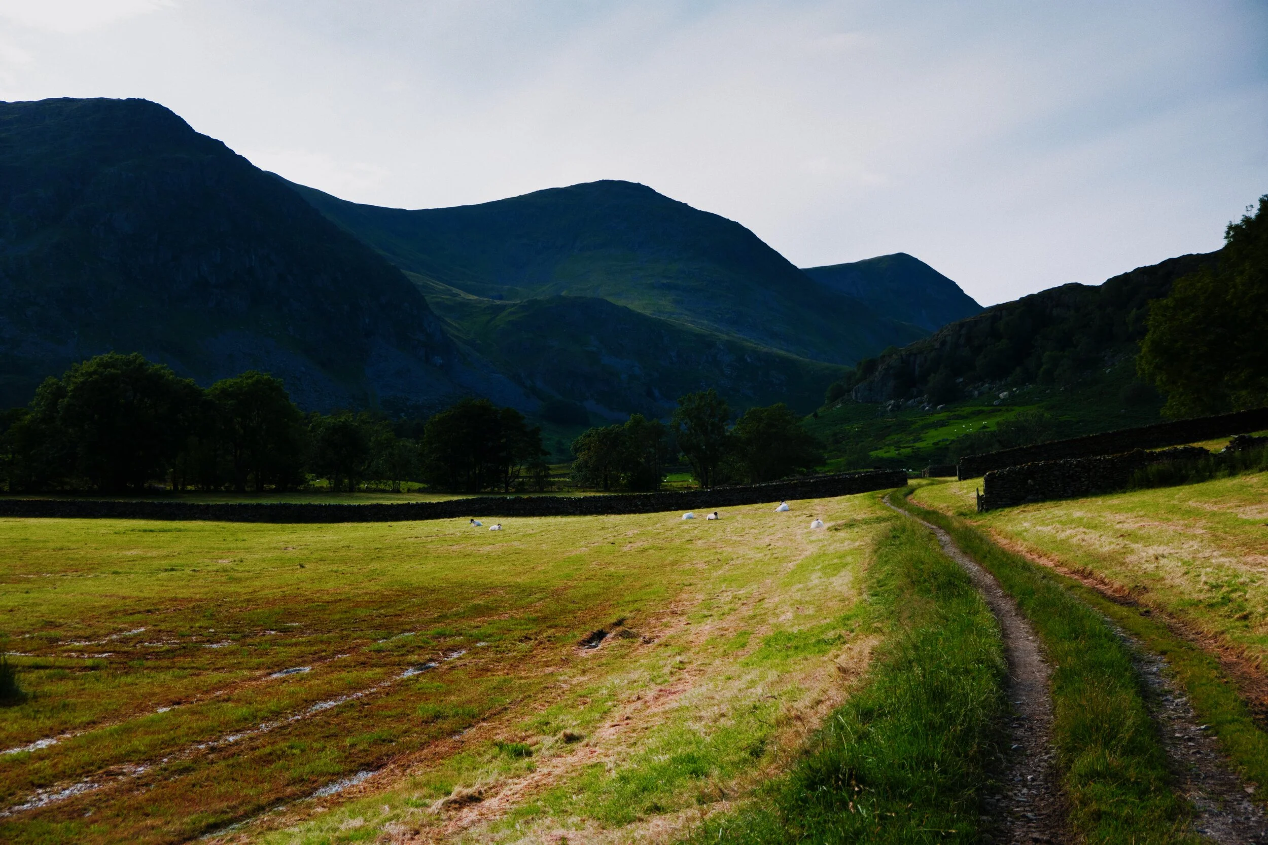  Through the fields heading towards Tongue House and Tongue Scar. This particular path towards the Kentmere Reservoir was a rather wet and boggy one, which we didn&rsquo;t expect. 