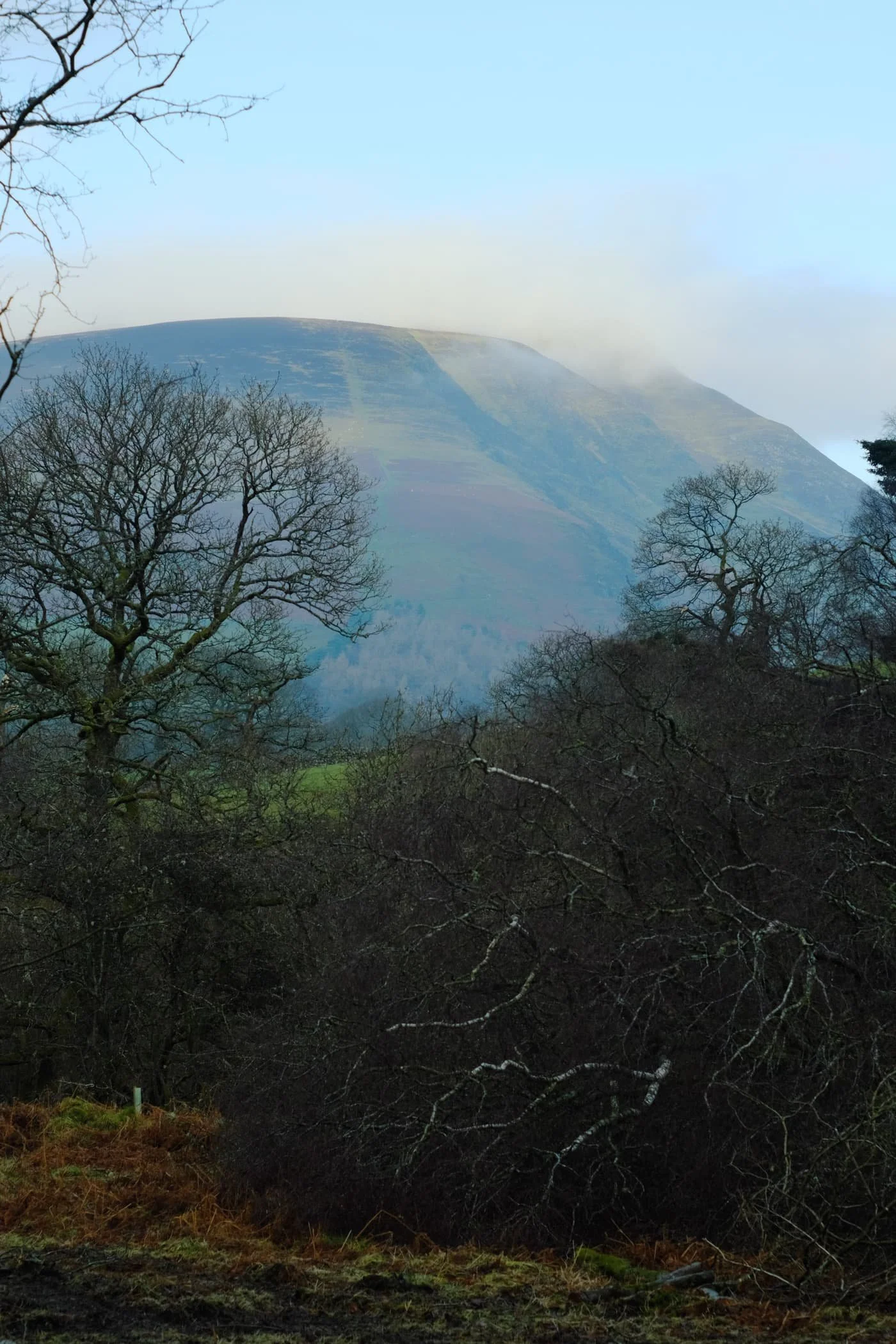  Beyond Latrigg, the crags of Lonscale, too, were freeing themselves of the morning&rsquo;s mist. 