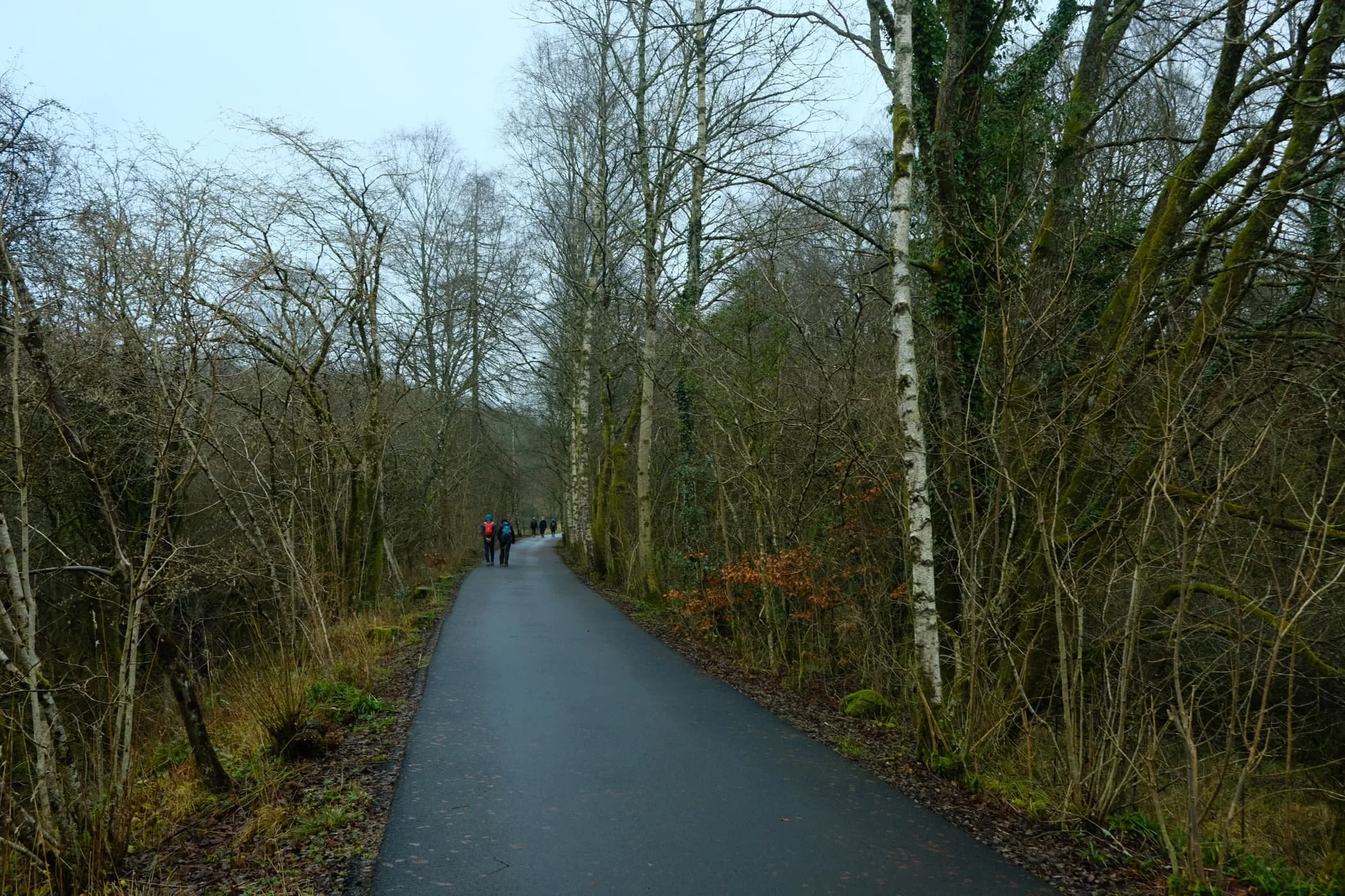  Onwards to the next bridge. There were plenty of other people around enjoying this trail. It was a good job we got started nice and early. 