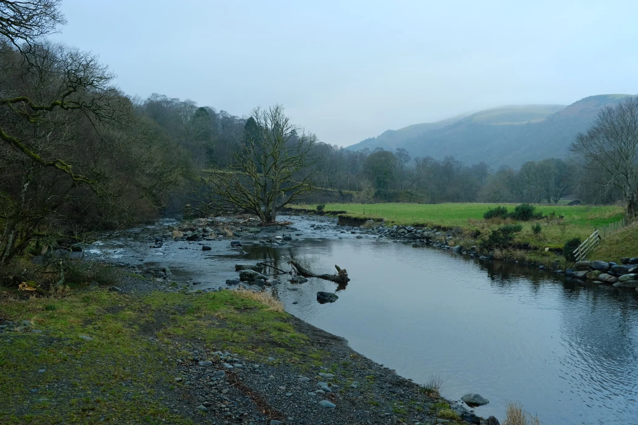  A solitary tree has survived erosion and storms against all the odds, and stands proudly in the middle of the river. 