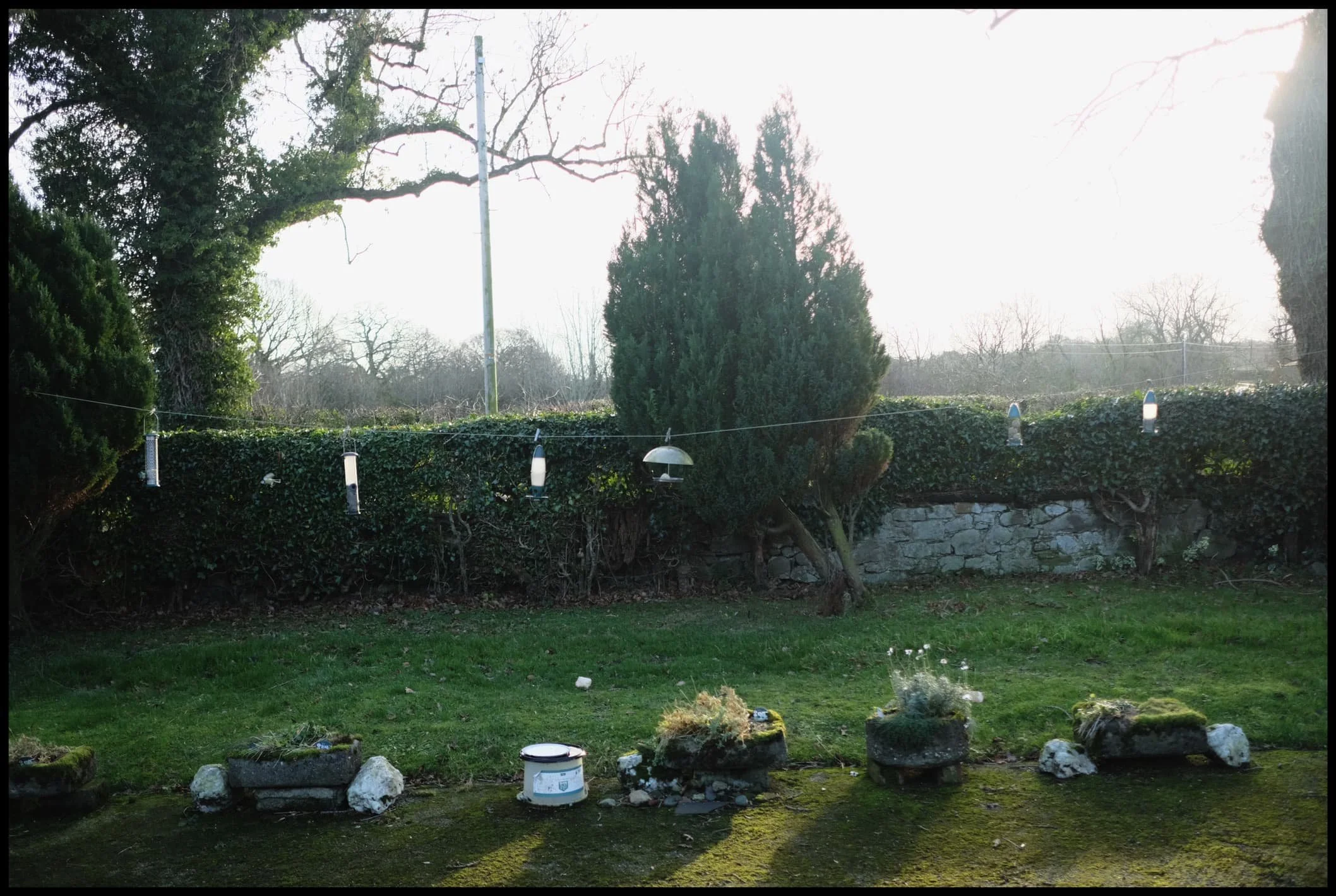  Dad set up a load of bird feeders outside the cottage, home to many species that he&rsquo;s always happy to take photos of. 