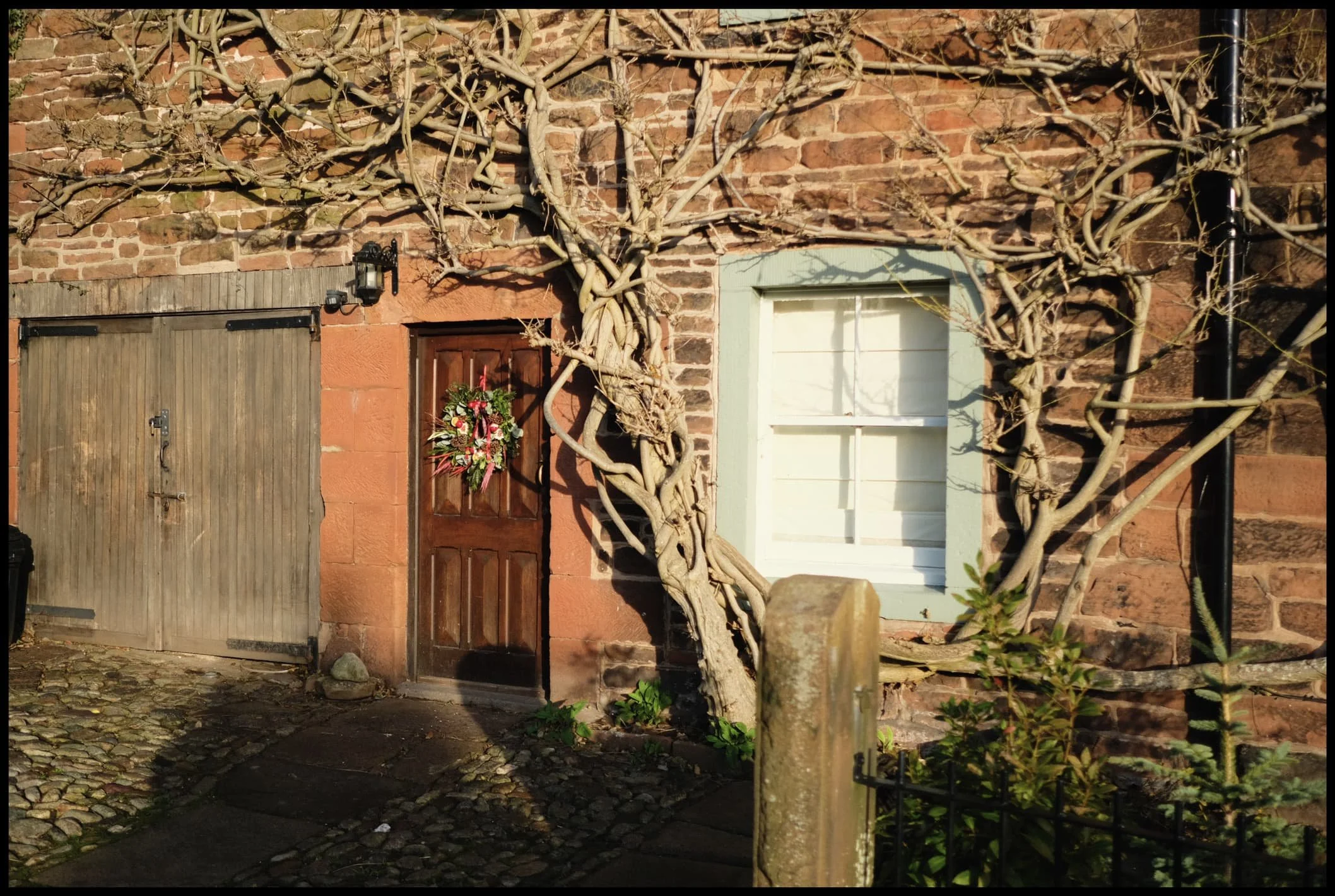  Love old buildings that are wrapped in branches and vines. 