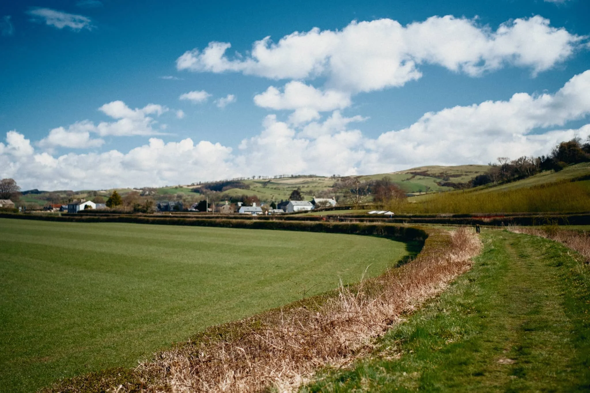 Looking back all the way down the Canal path from near it’s terminus. Off-photo to my right, a pair of swans were busy building a rather comfortable-looking nest.