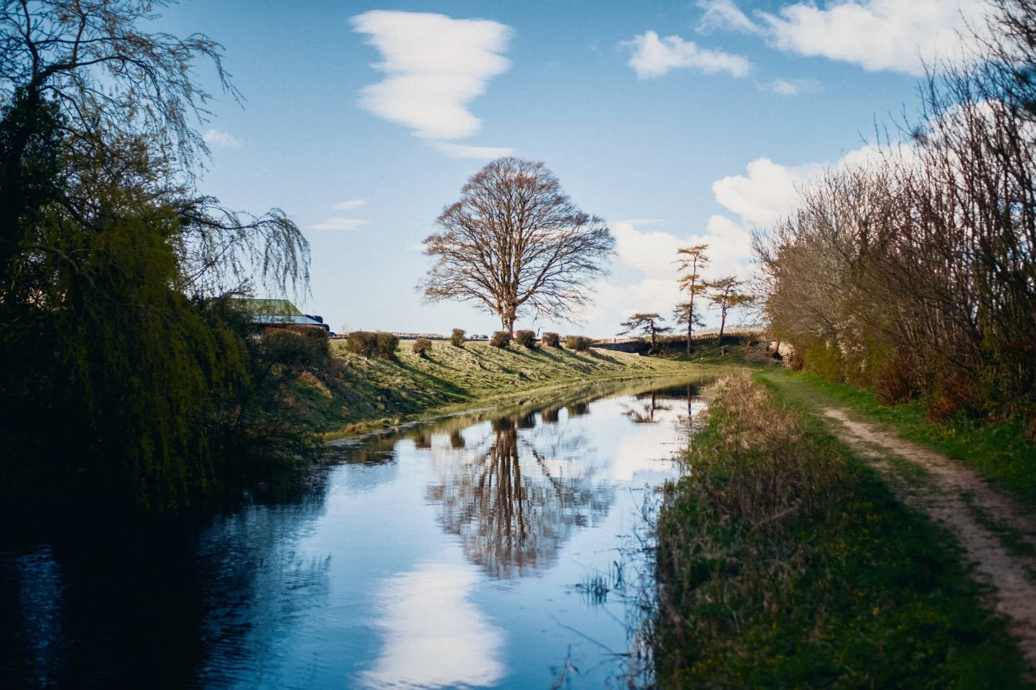 Just… a lovely little scene.