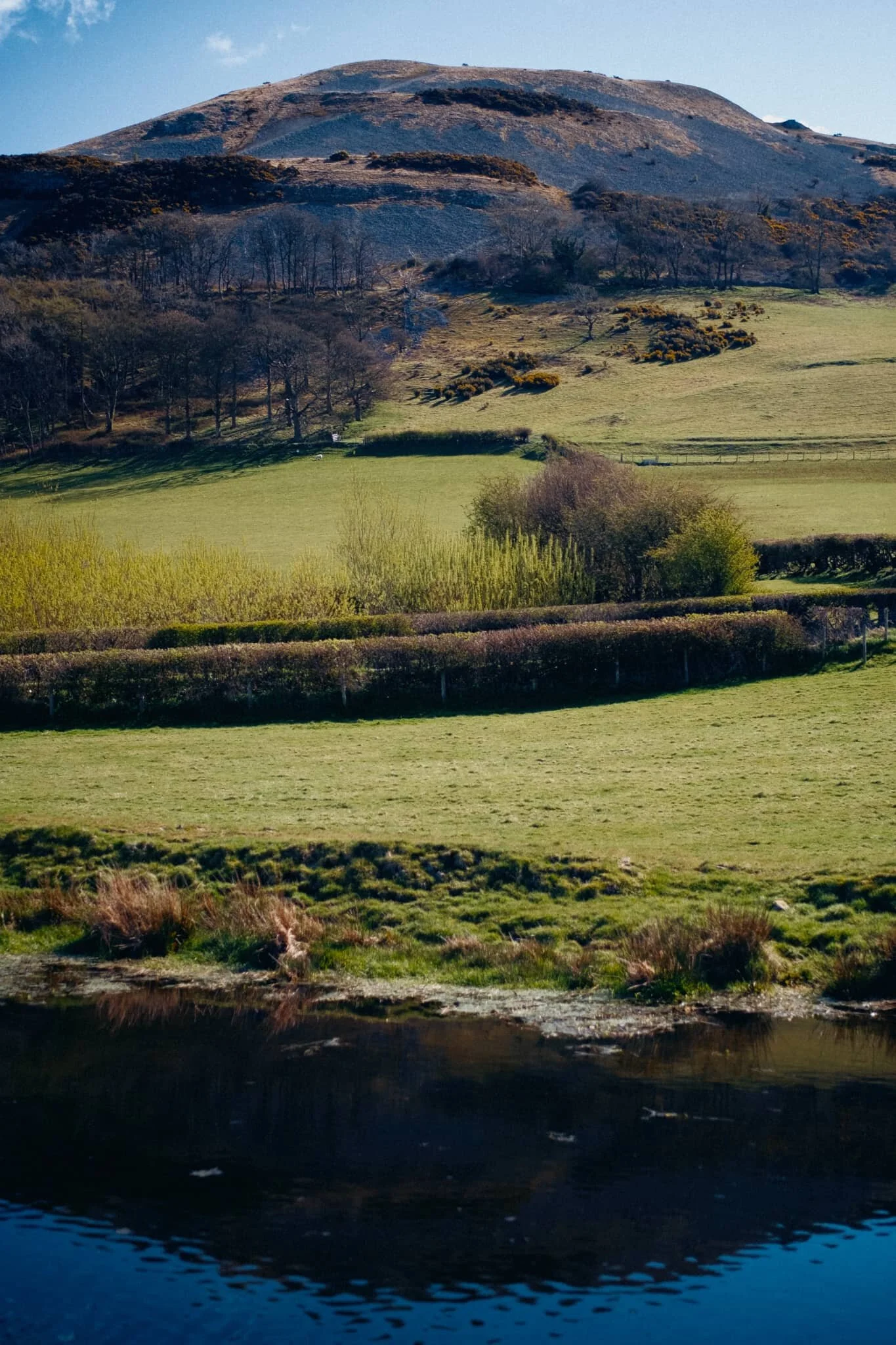 At Duke’s Bridge the canal opens out into a mooring/turn point area, allowing for some reflections of Farleton Knott.