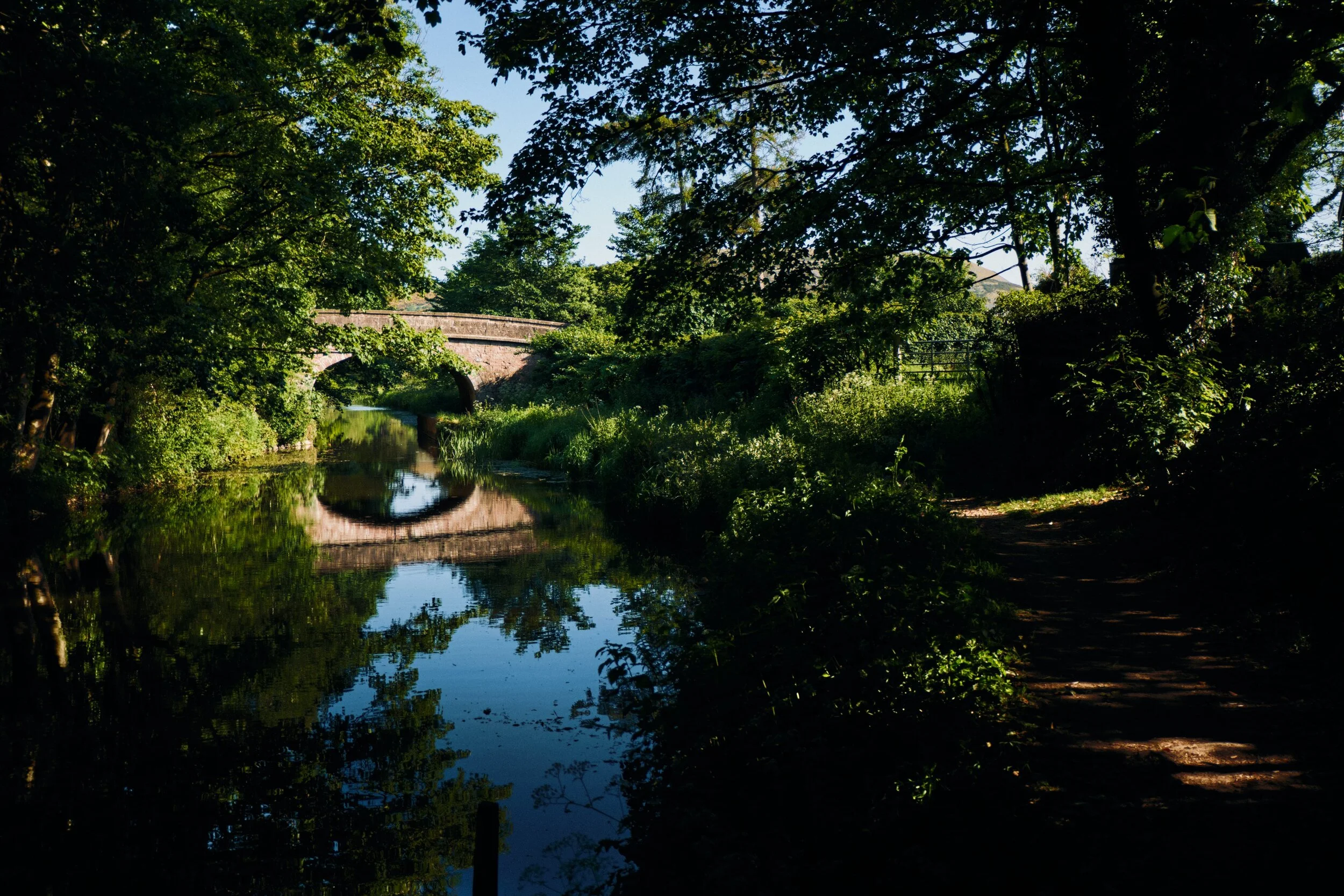  South from Millness Bridge the canal is lush with overhanging trees, grasses, and flowers of all sorts. You soon reach Seven Milestone Bridge (Nº 163), reflected here in the very dry canal. This bridge carries the A65 over it. 