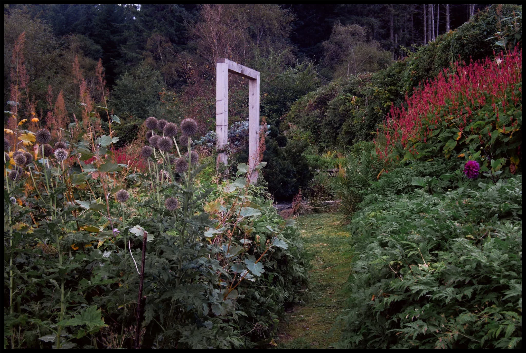  A simple larch archway in the farmhouse gardens, which will eventually be covered in creeping vines. 