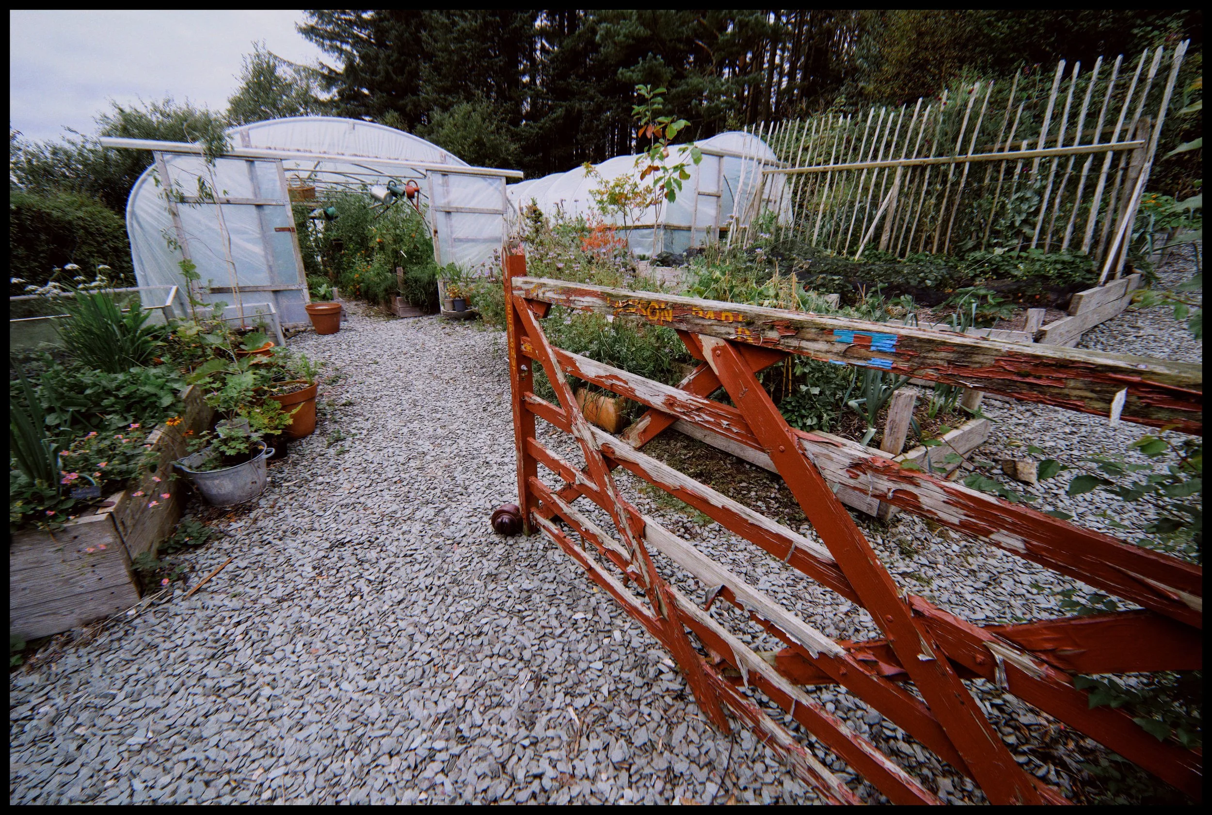  The Kitchen Gardens complete with polytunnels. Fruit and veg grown here feeds the residents and visitors of Lawson Park and supplies ingredients to nearby Farmer&rsquo;s Arms in Lowick. 