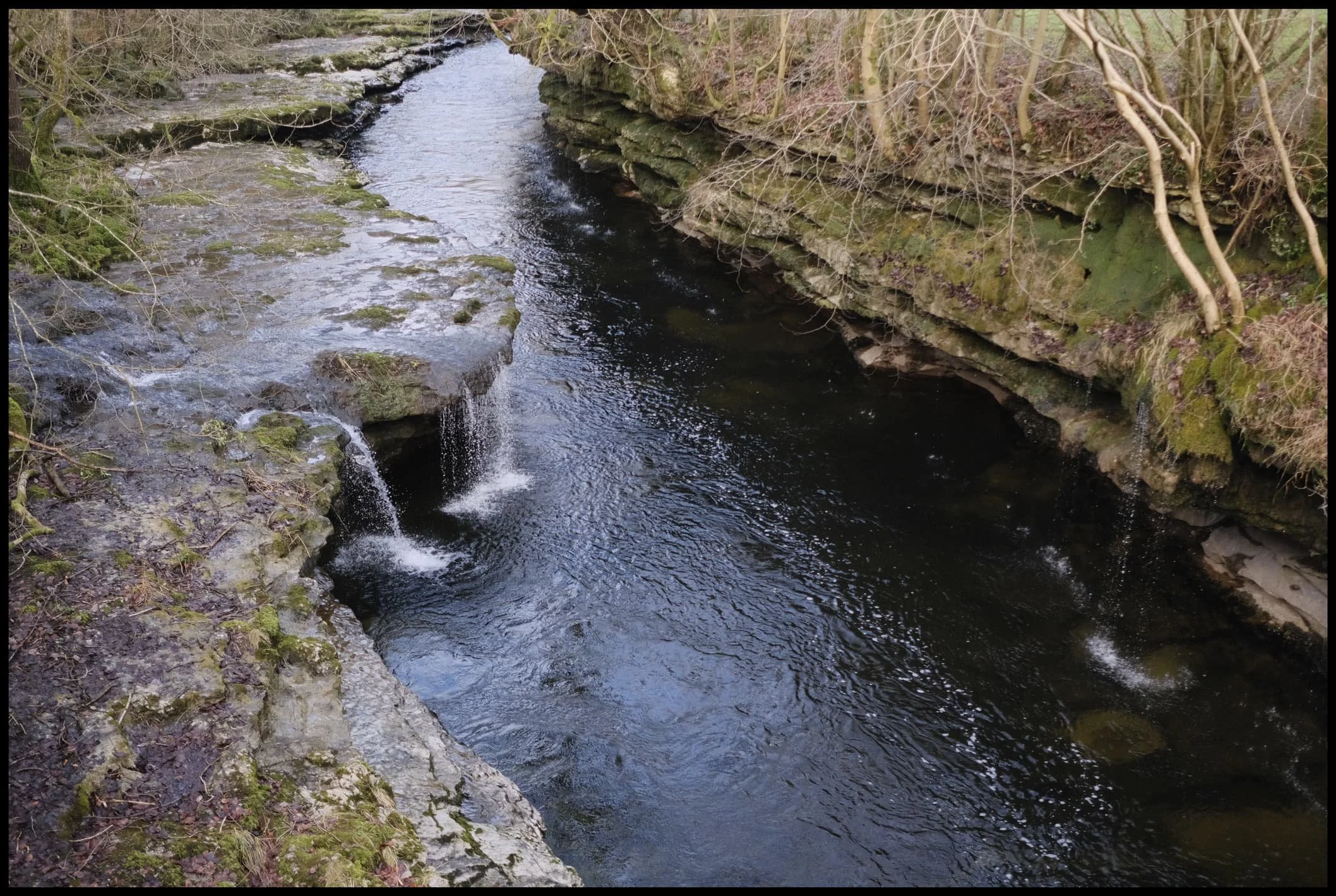  The extended loop of the circular park walk involves walking up to Force Falls, crossing the bridge over the river, and following the road back into the other side of the park. I weren&rsquo;t complaining; Force Falls is always stunning. 